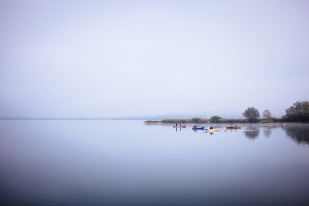 a body of water with boats in it and trees around it