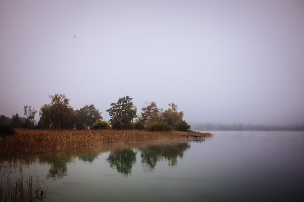 a body of water with trees in the background