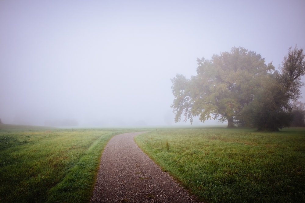 a dirt road in a field