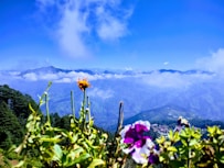 a view of a mountain range and a valley