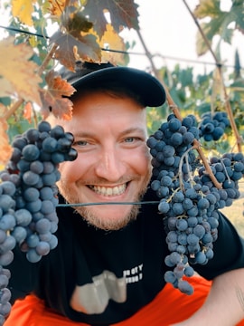 A smiling vintner inspecting grapes in a lush Mexican vineyard.