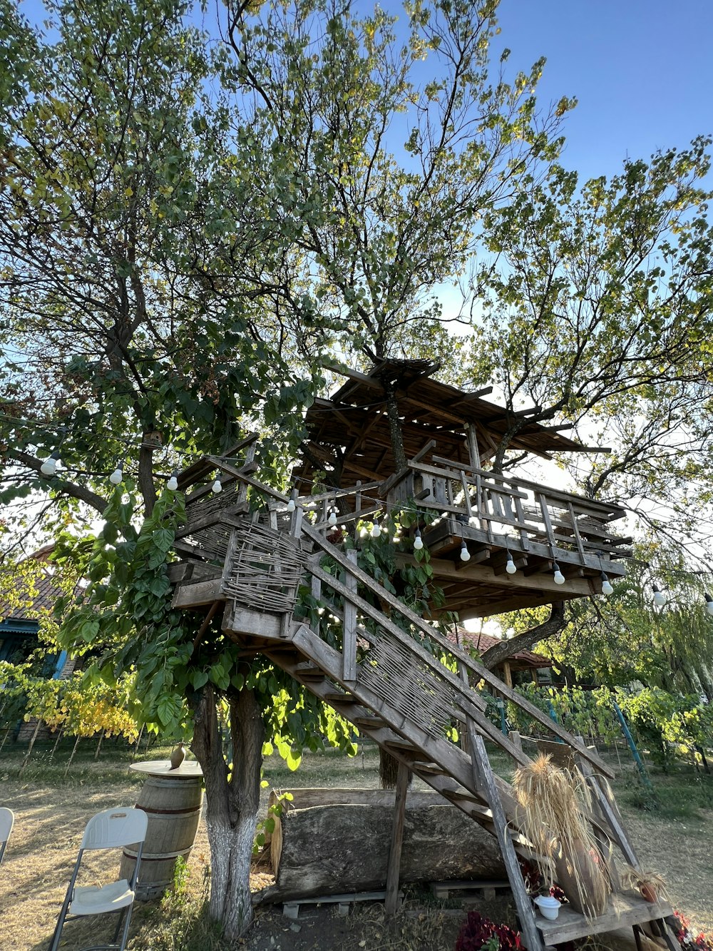 a tree house with a tree in the front