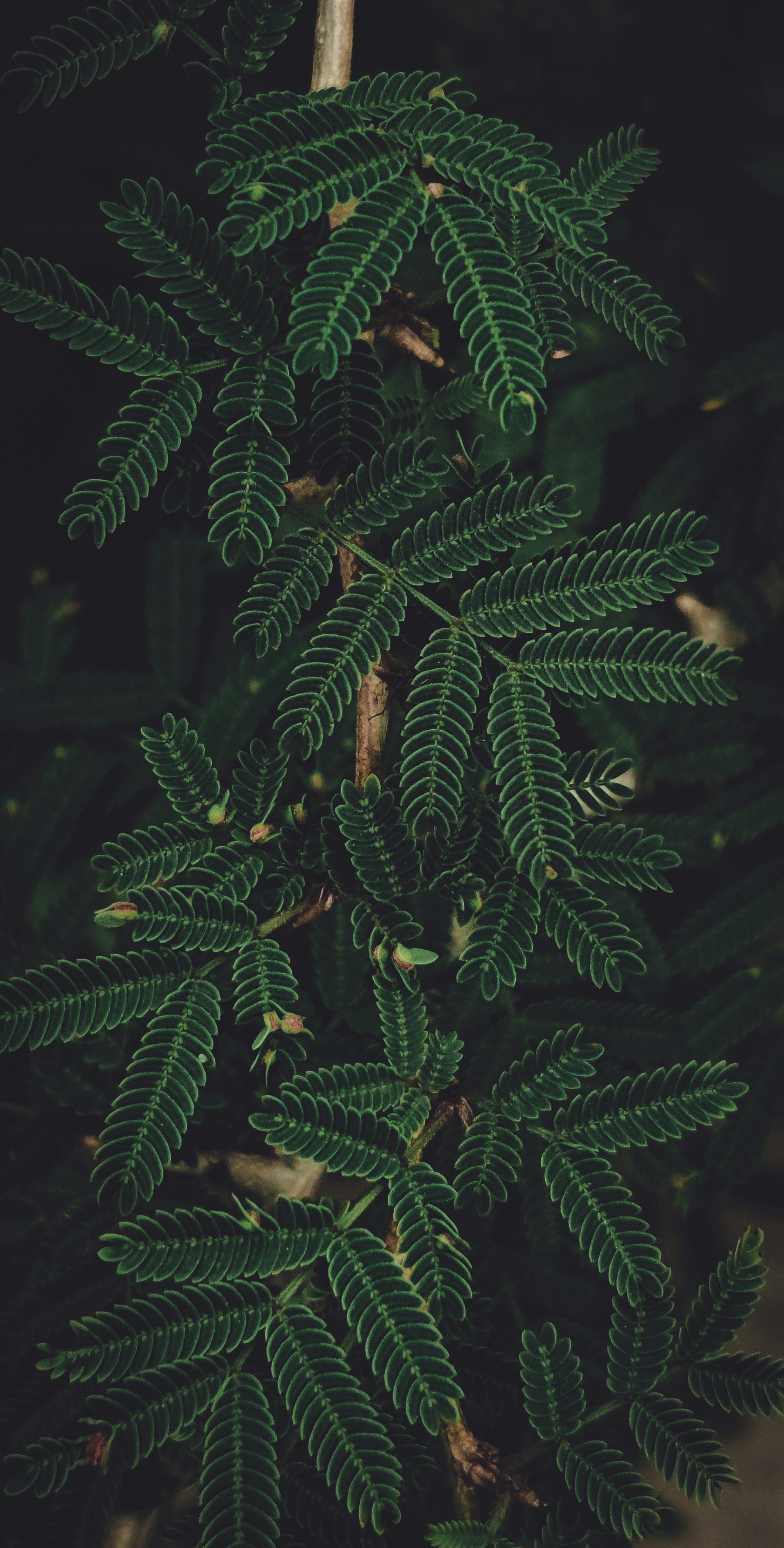 Photo by ranjanaphotography