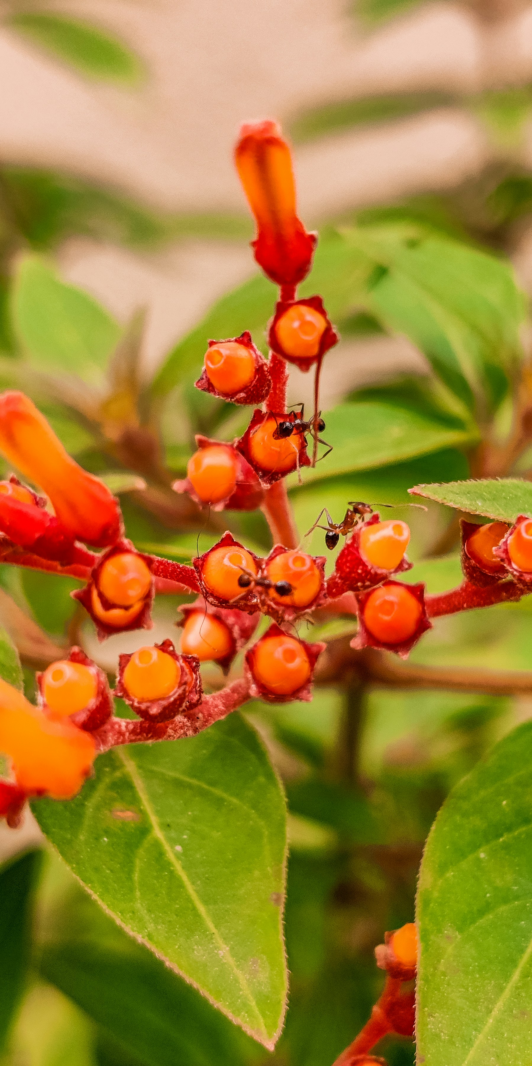 Photo by ranjanaphotography