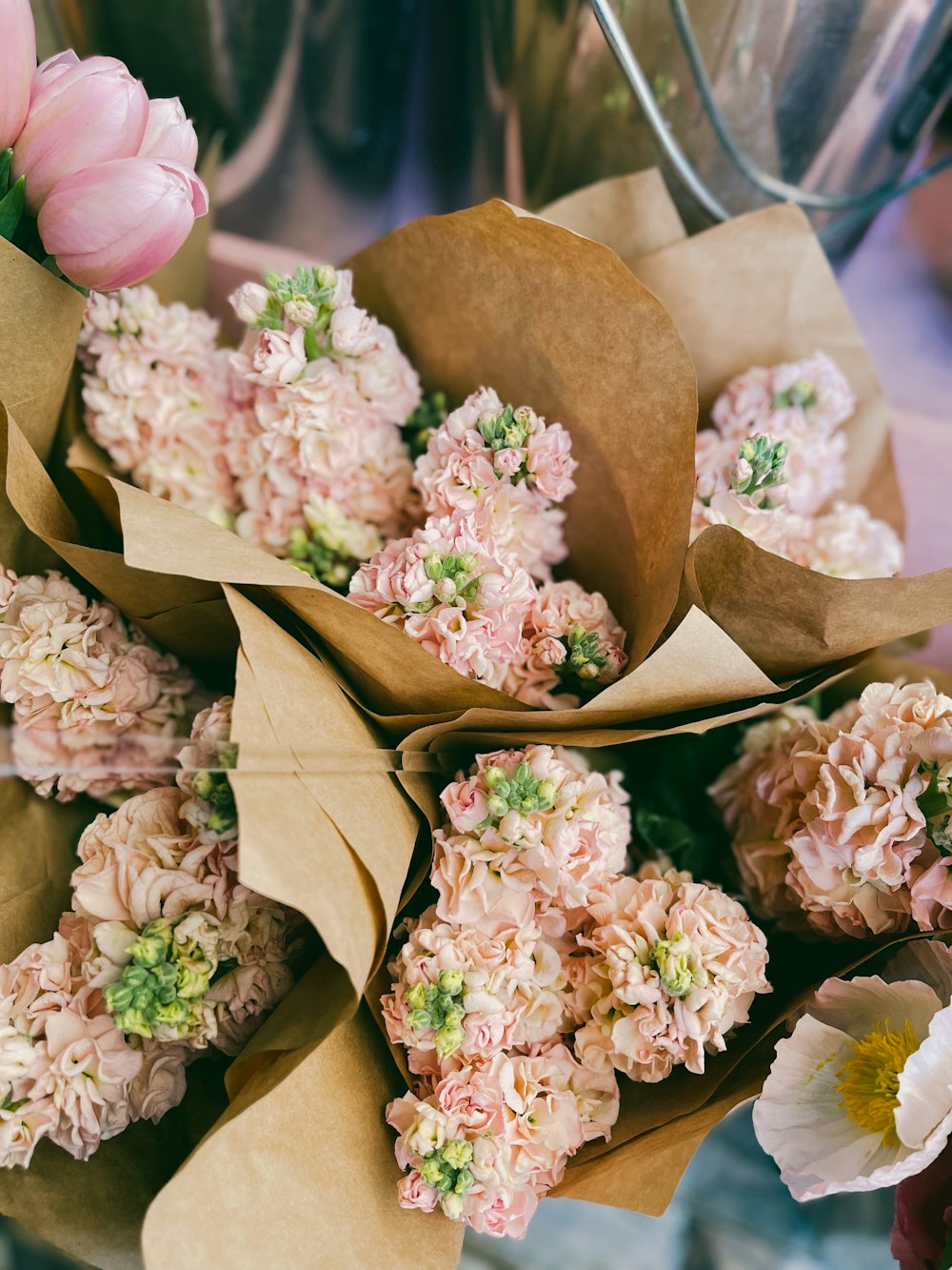 a group of flowers