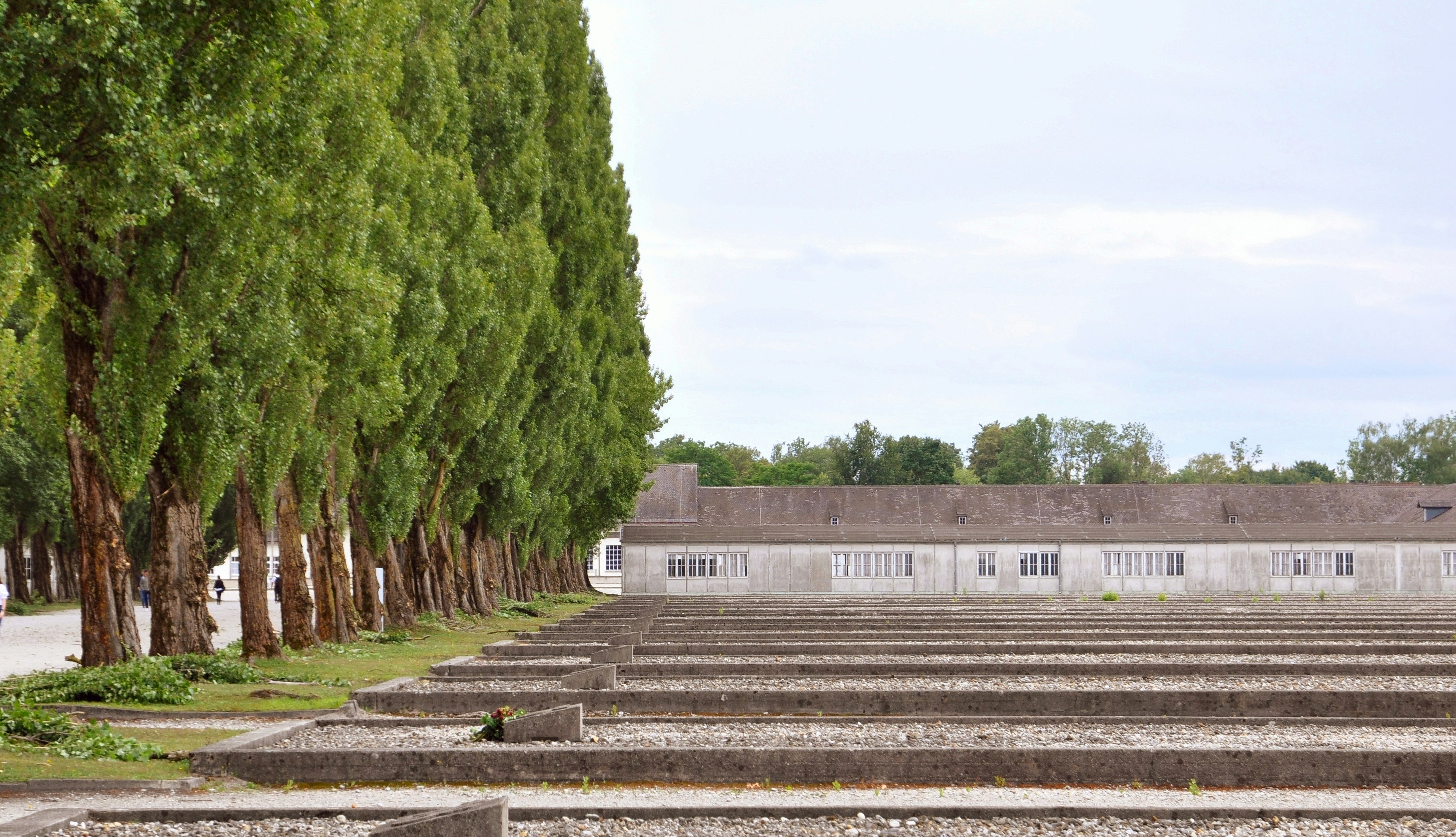 a building with trees around it