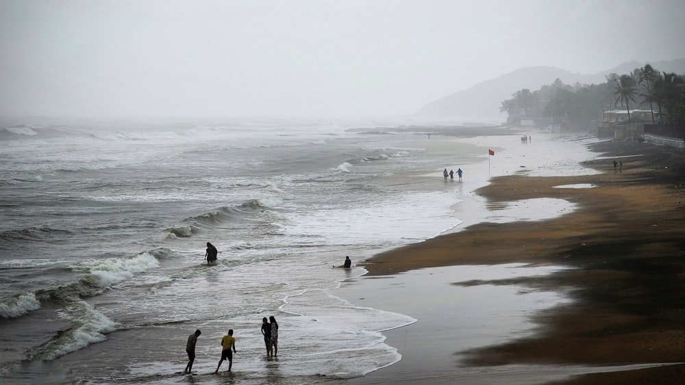 people on a beach