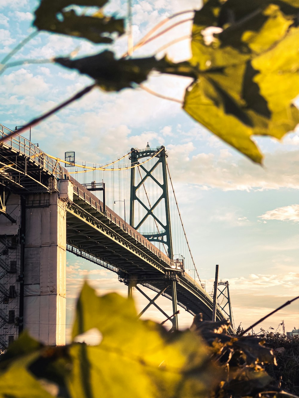 a large bridge with a yellow leaf