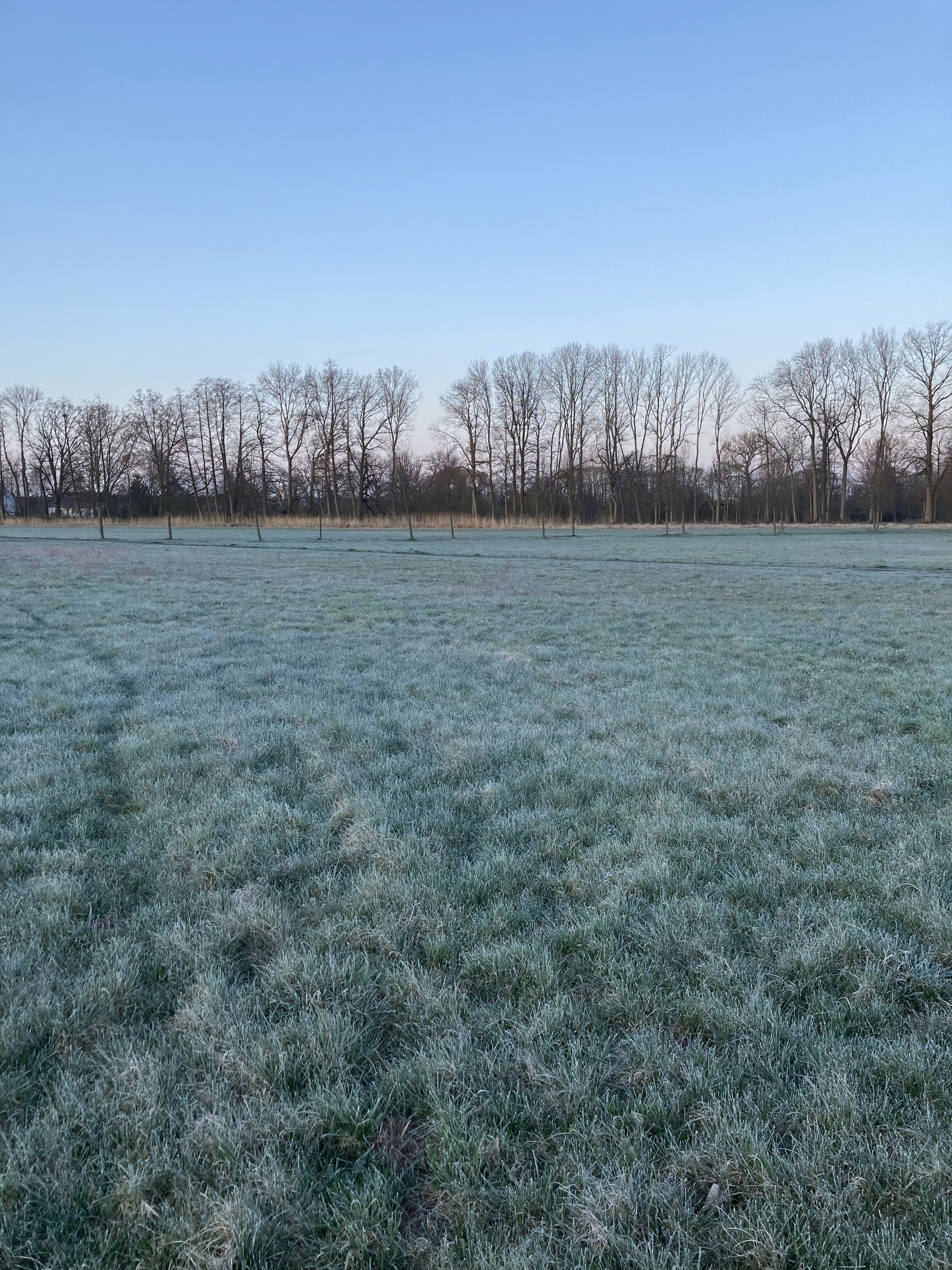 Photo by oldorangepea