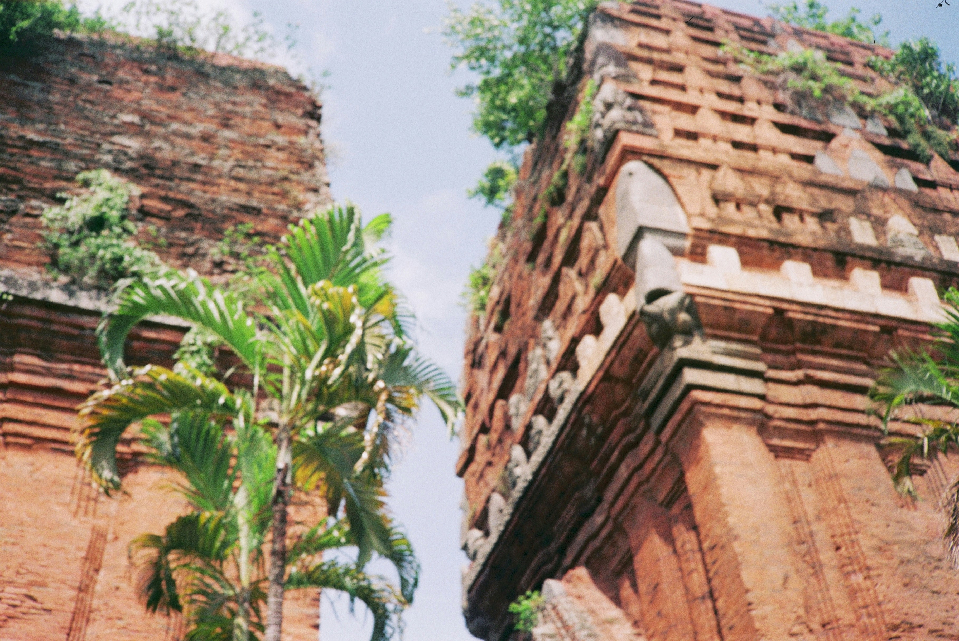 Photo by tracydesaigon