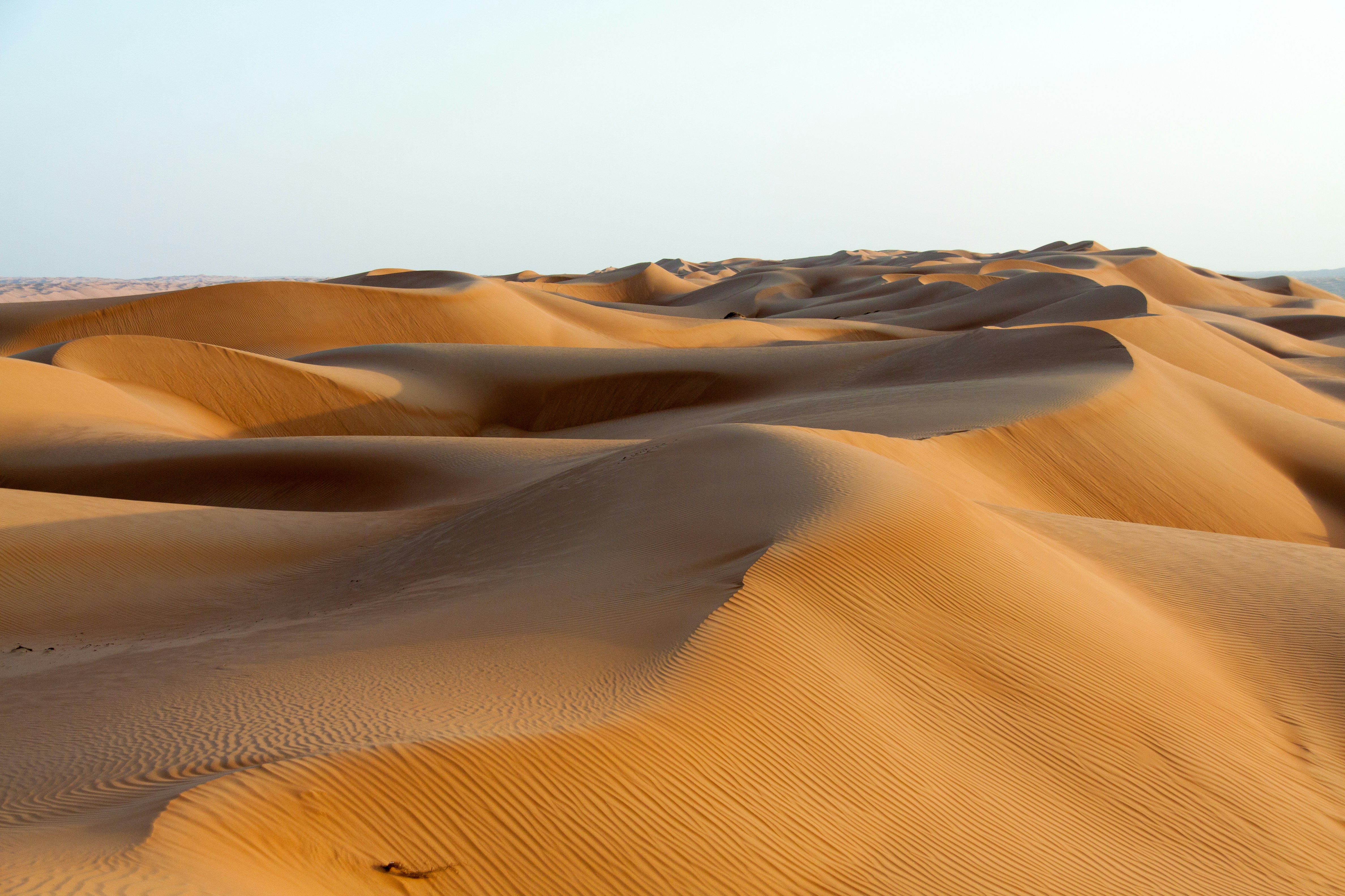 Press Trip to Oman’s Empty Quarter (North Amercia)