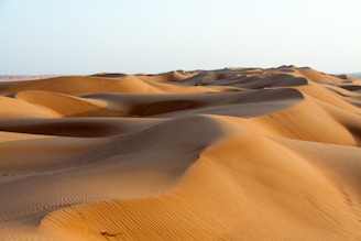 a desert with sand dunes
