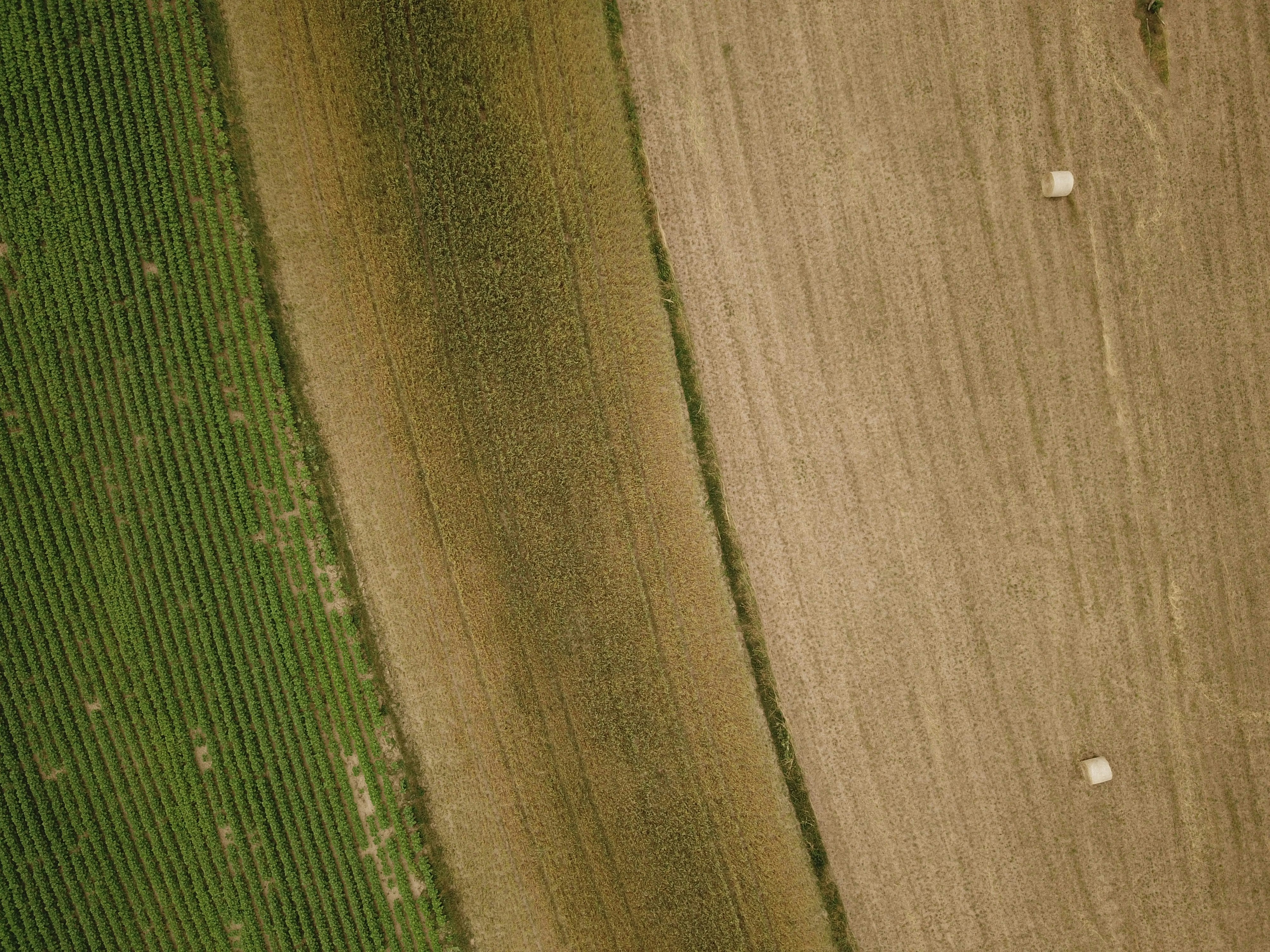 a close up of a wood floor
