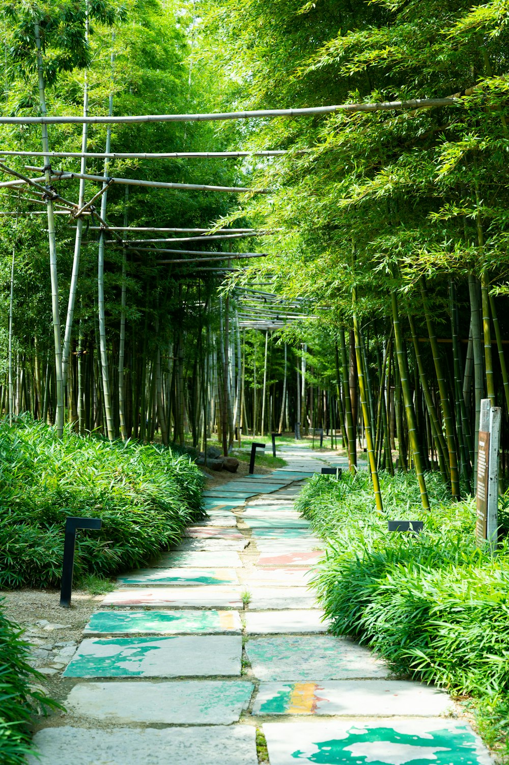 a stone pathway through a forest