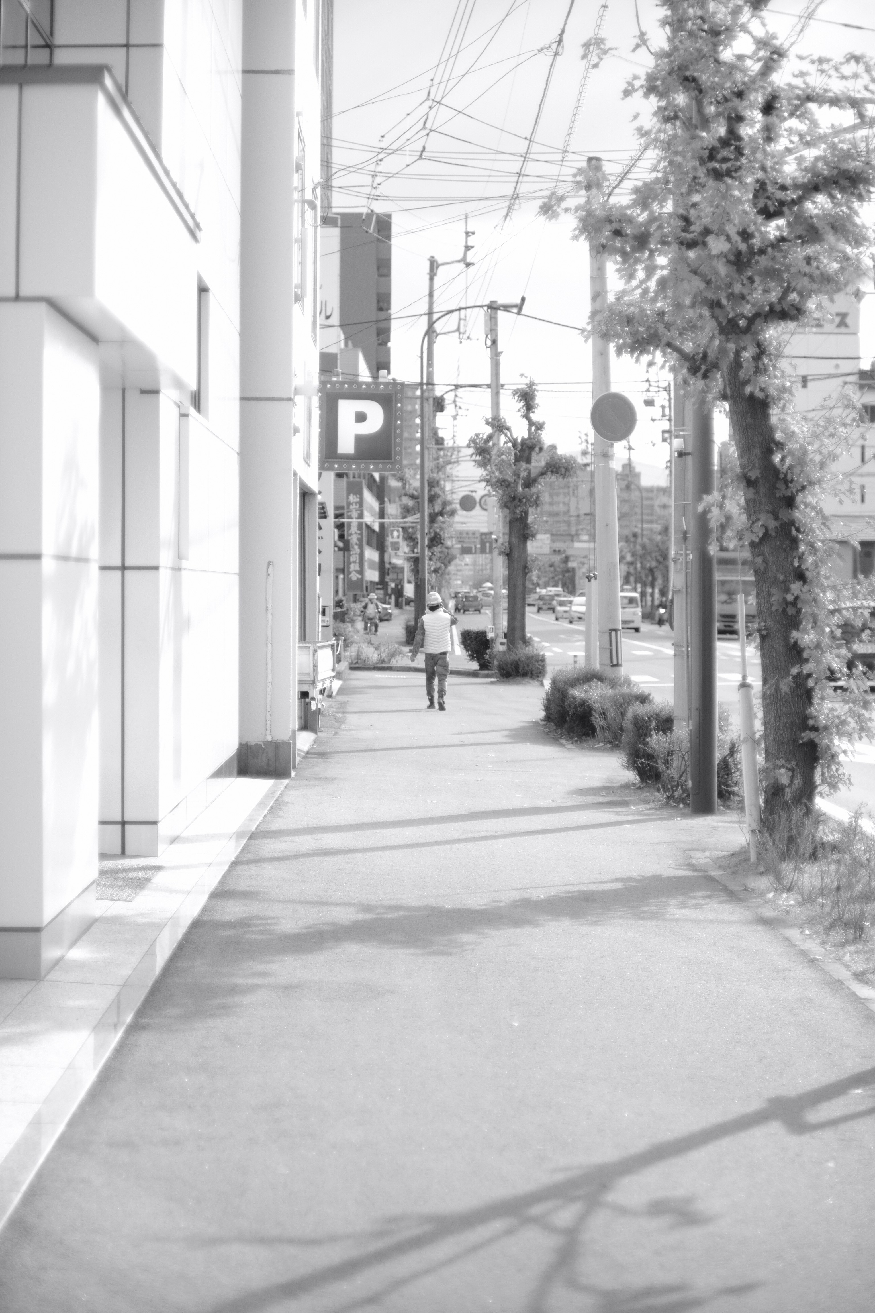 Photo by mak_jp