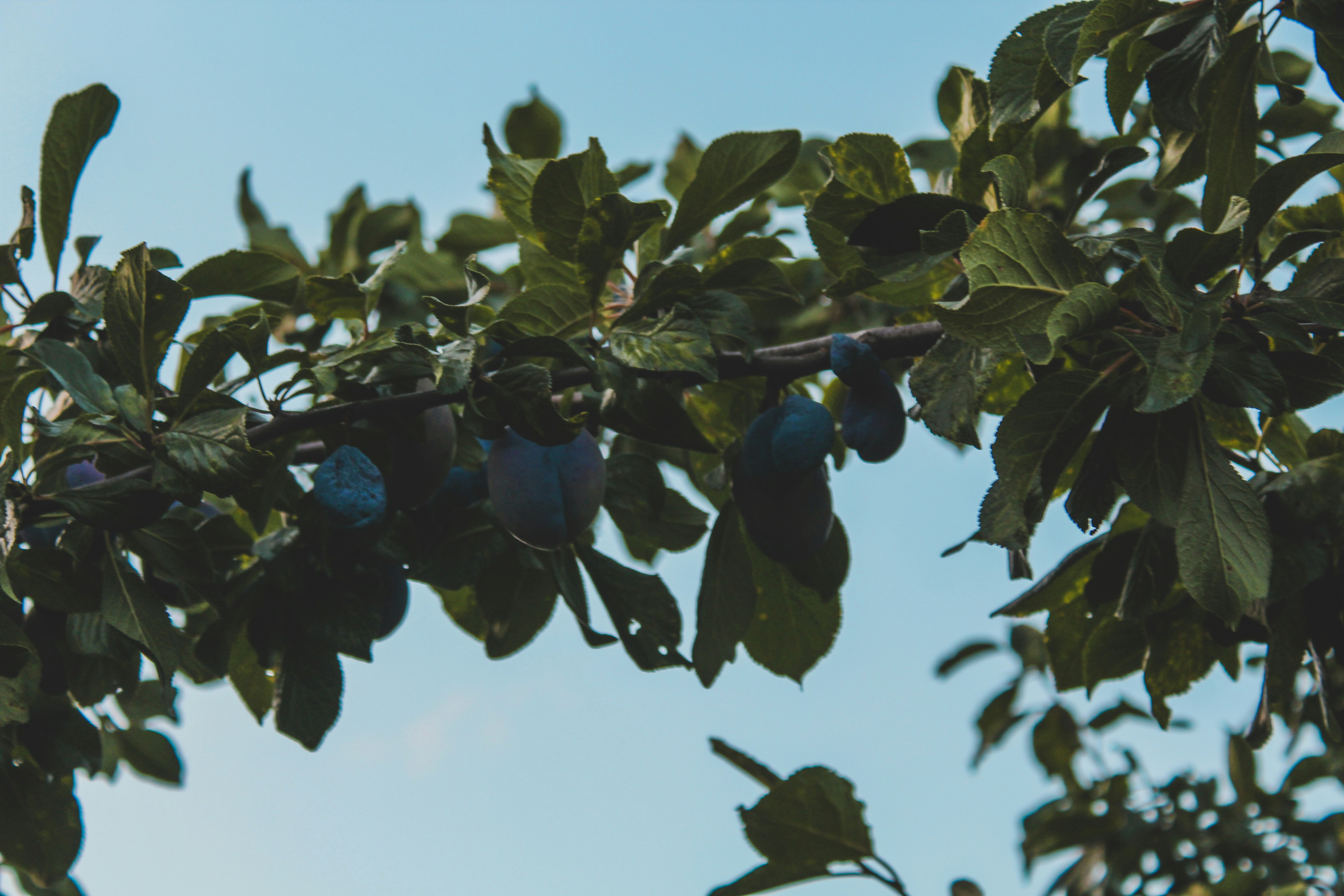 Photo by czapp_arpad