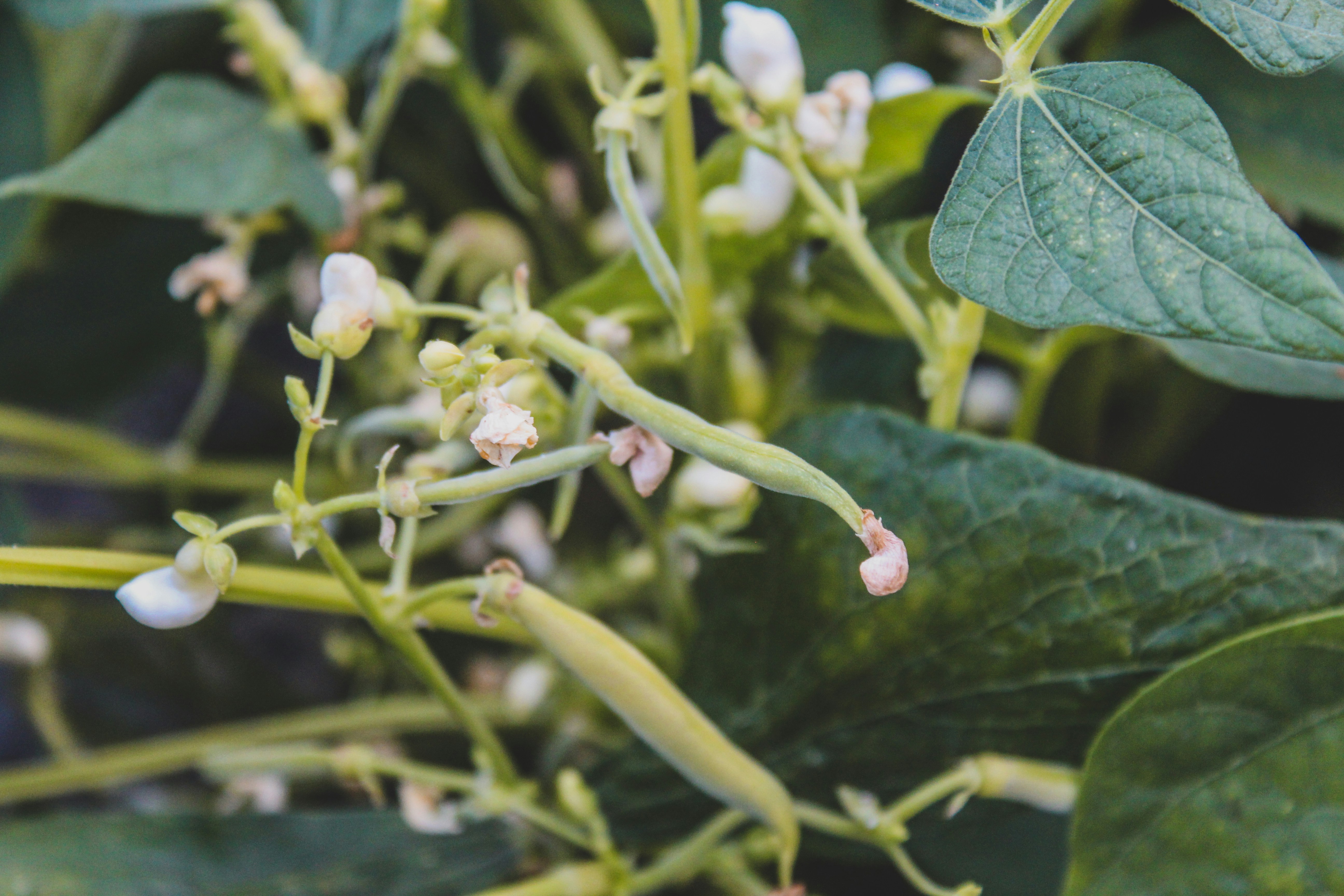 Photo by czapp_arpad