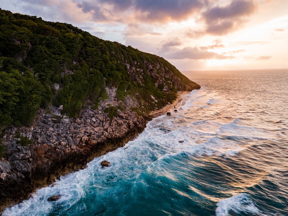 a rocky beach with trees and a body of water