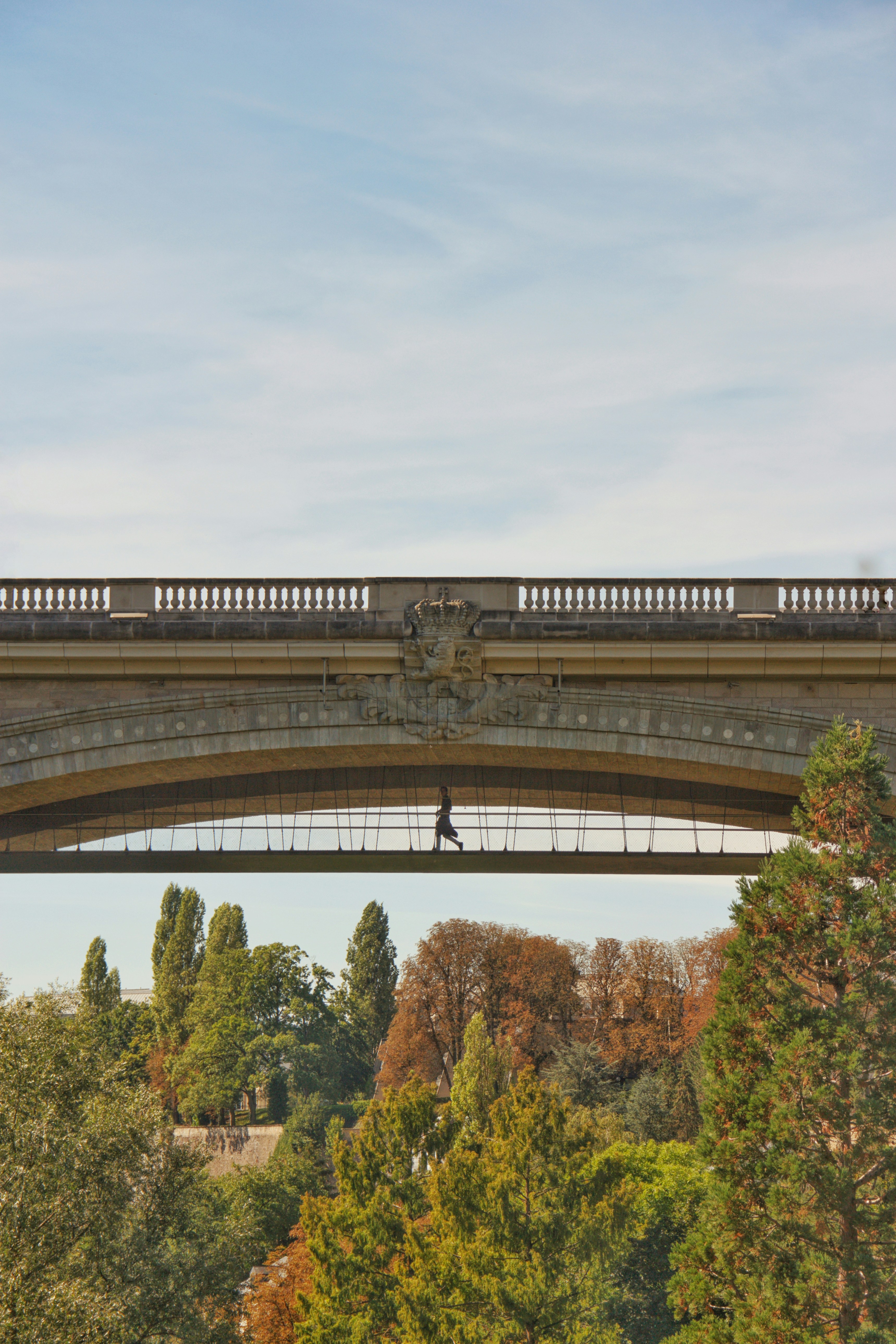 a bridge with a train on it