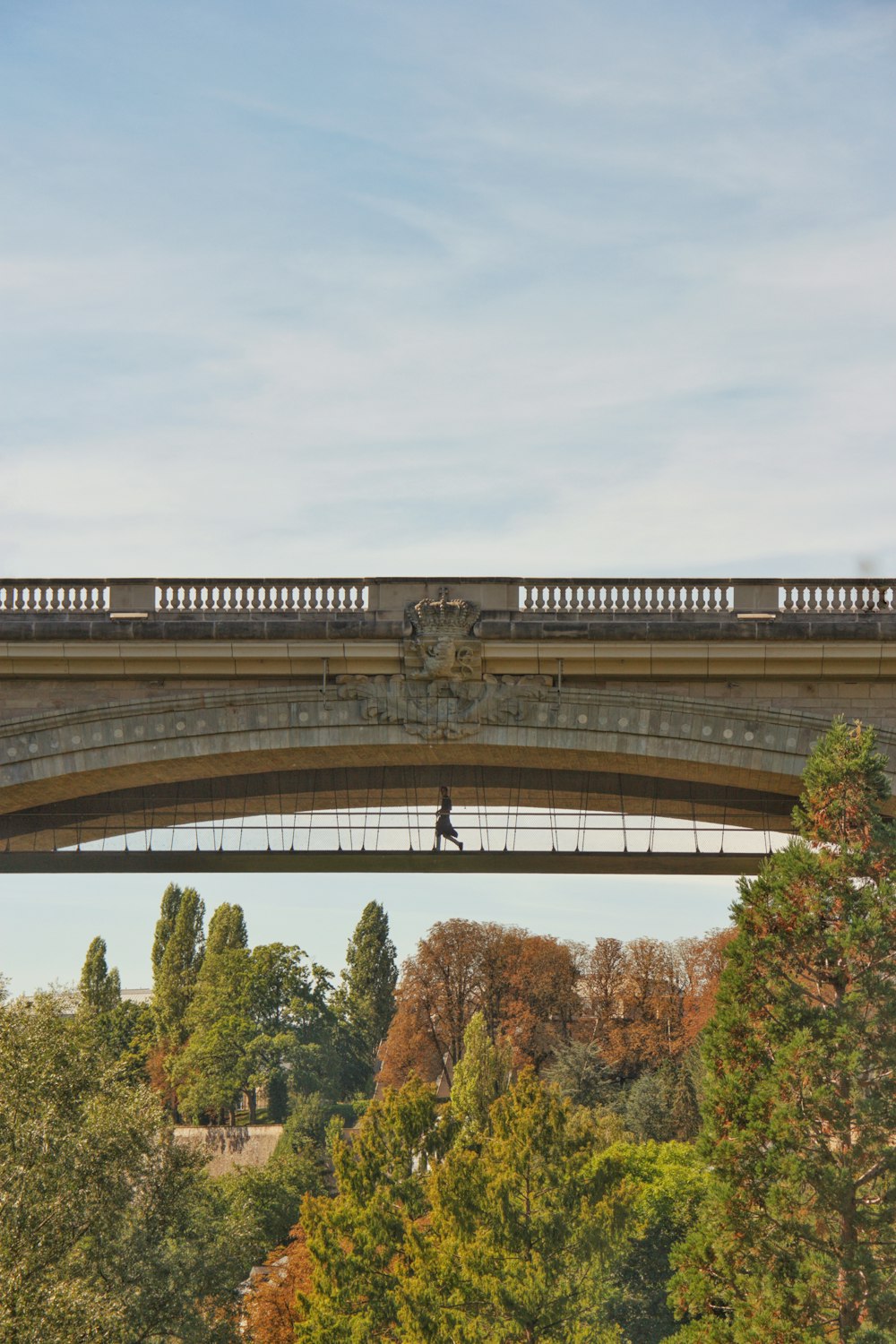 a bridge with a train on it