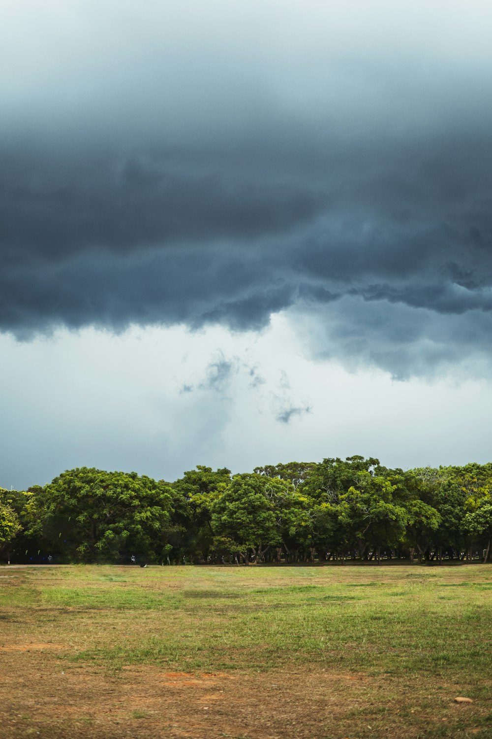 a field with trees in the background