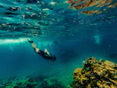 a person swimming underwater