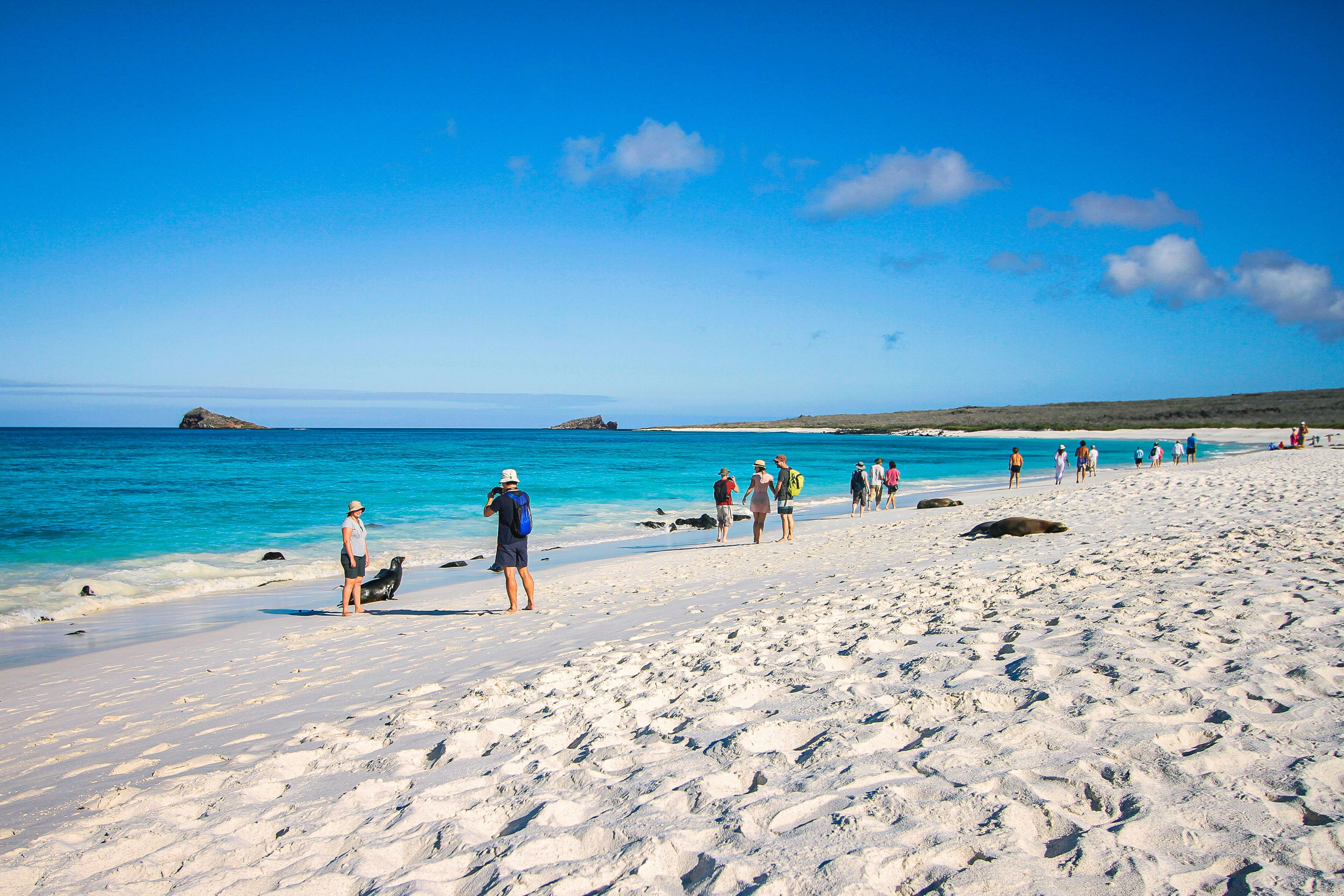 Photo by kiyoshi_jpg