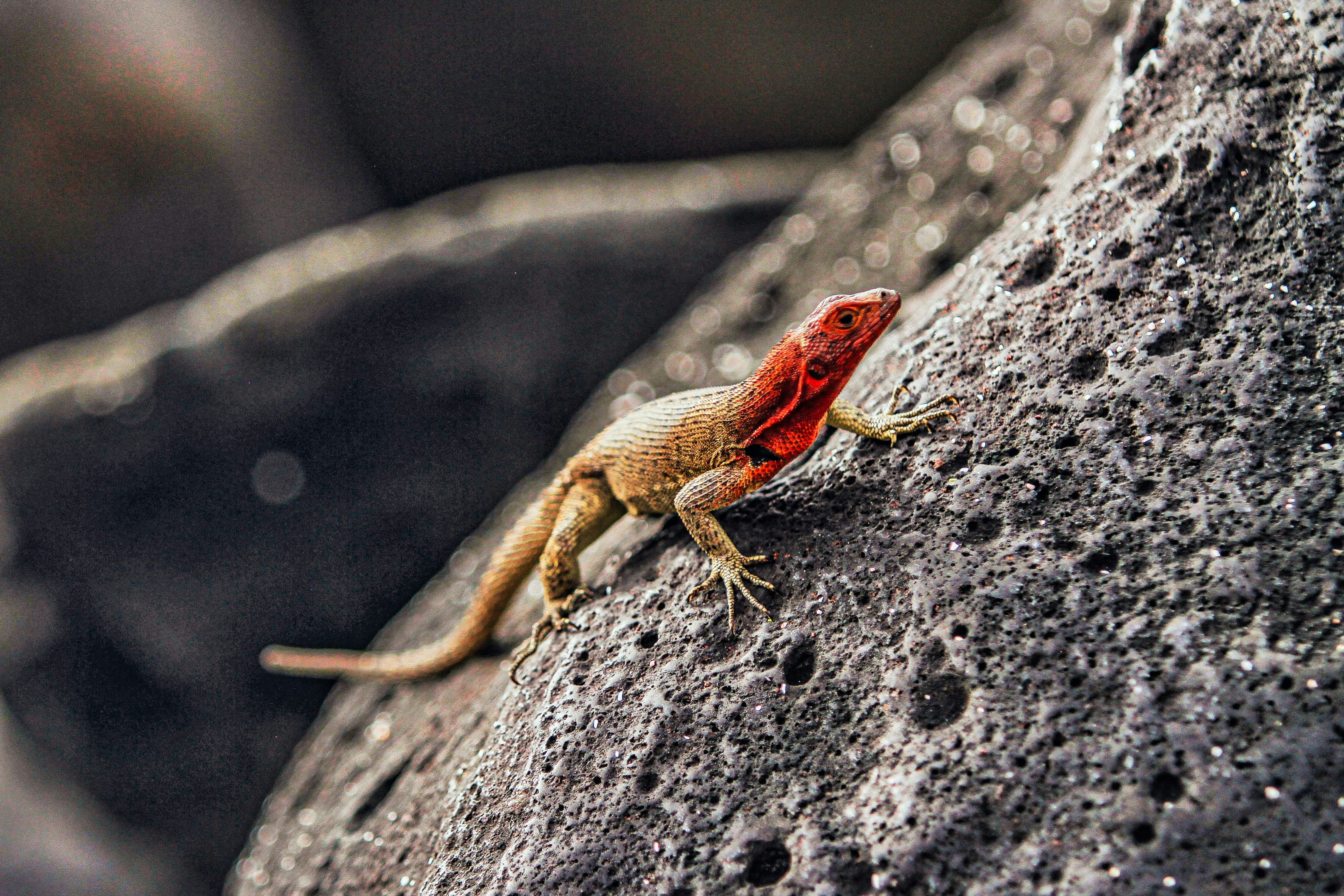 Photo by kiyoshi_jpg