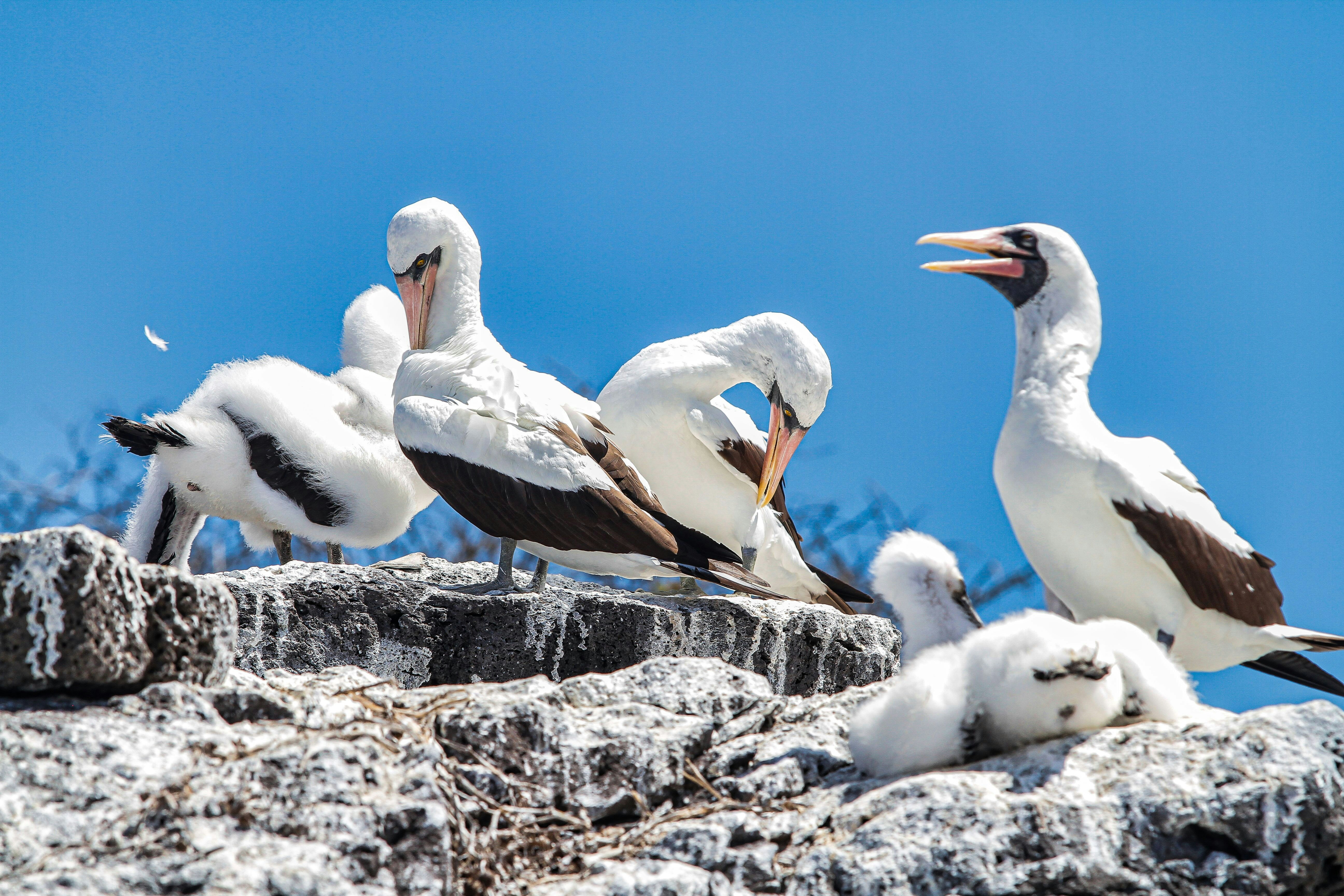 Photo by kiyoshi_jpg