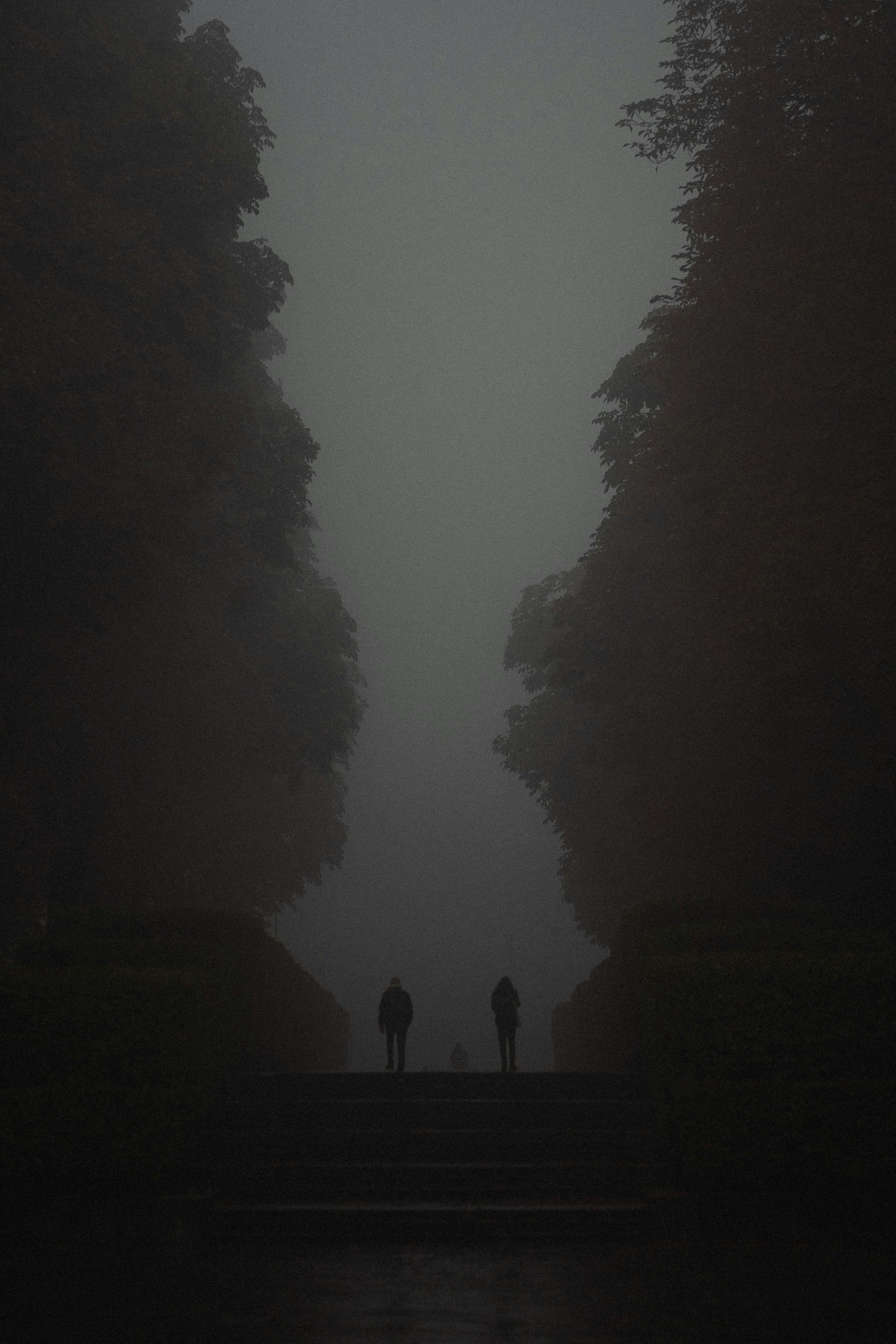 a silhouette of a couple of people