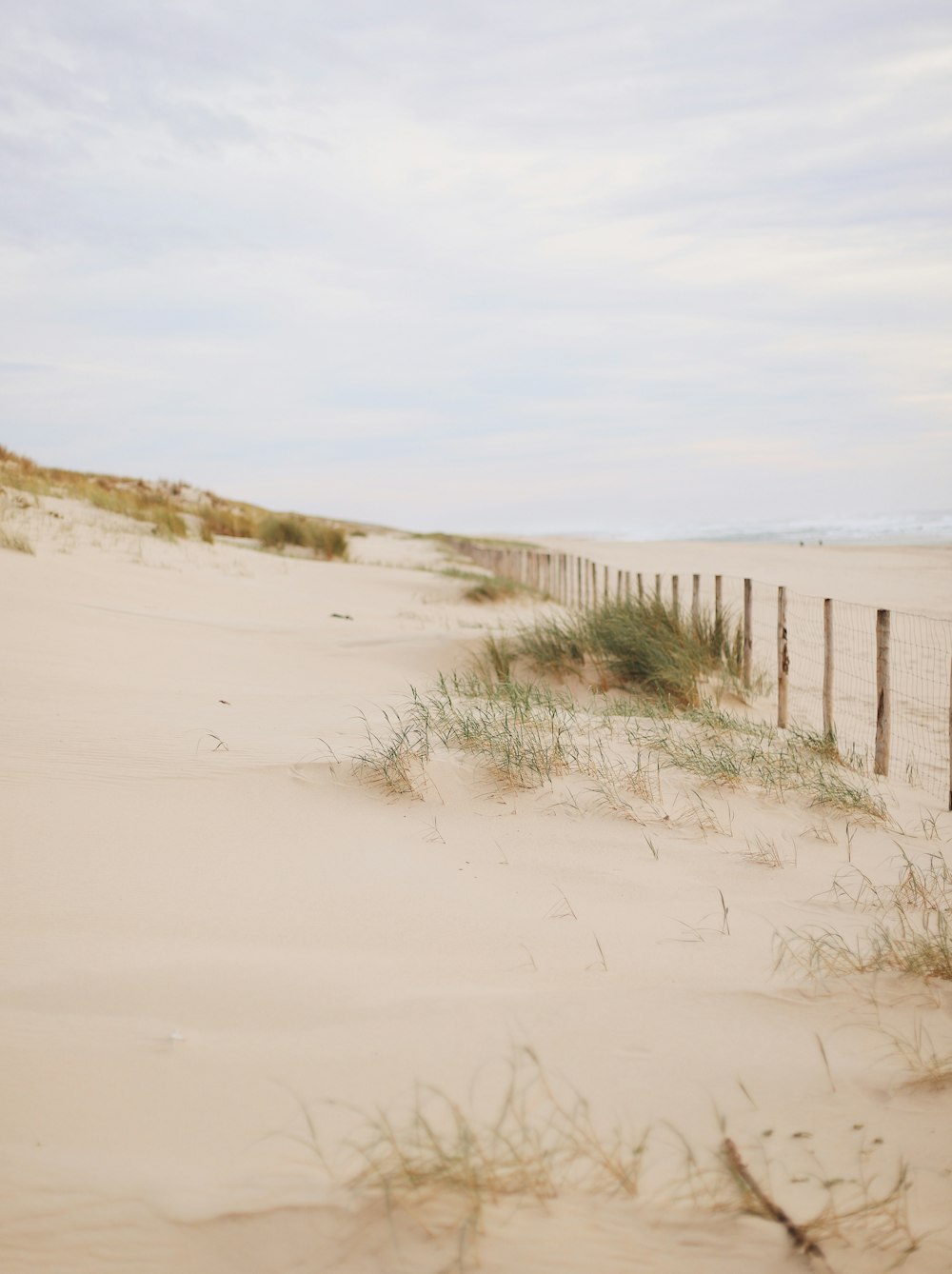 a sandy beach with a fence