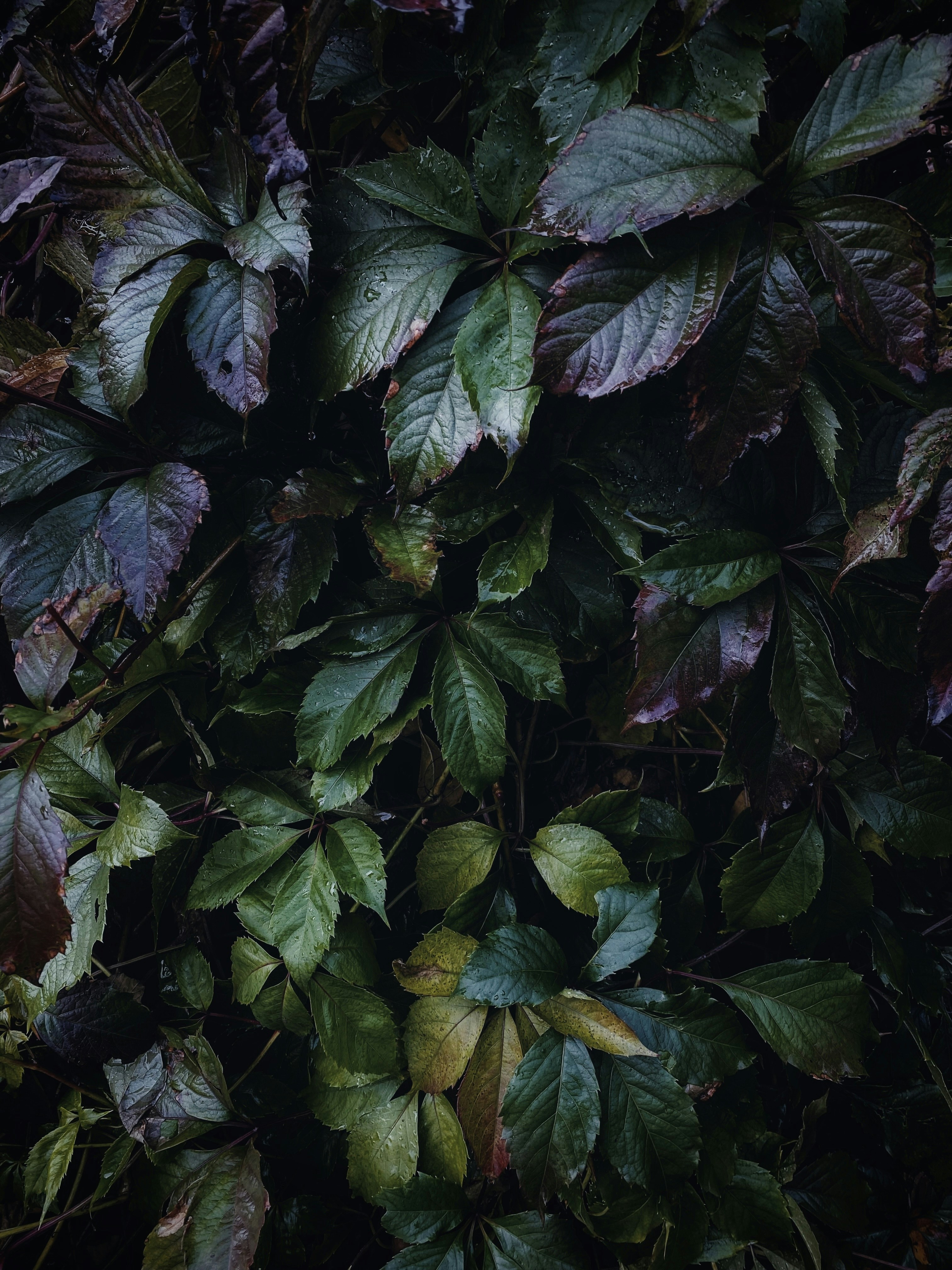 Photo by eugene_golovesov