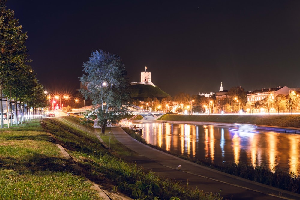 a river with grass and trees by it and buildings in the background