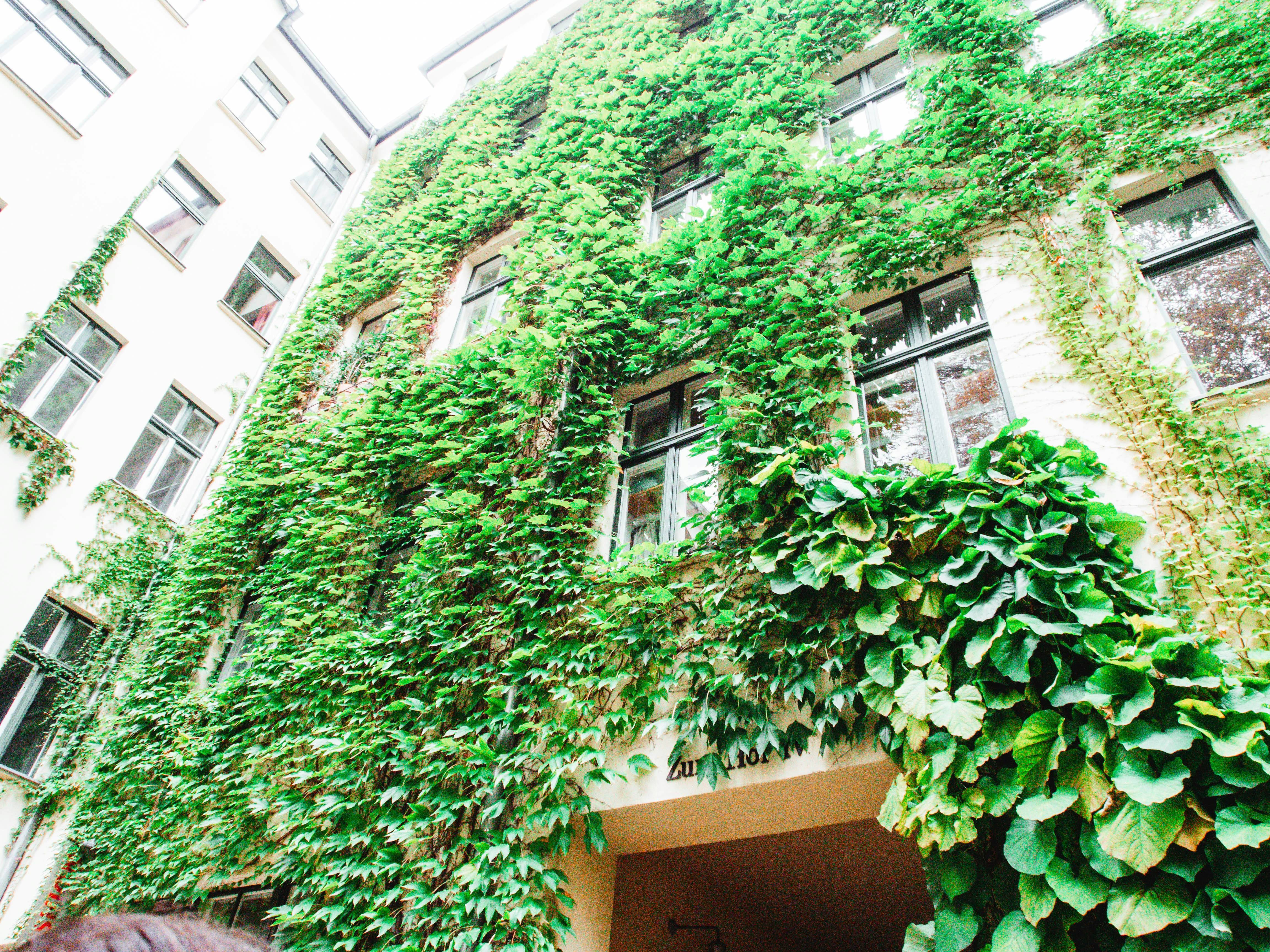 Photo by feinschliff