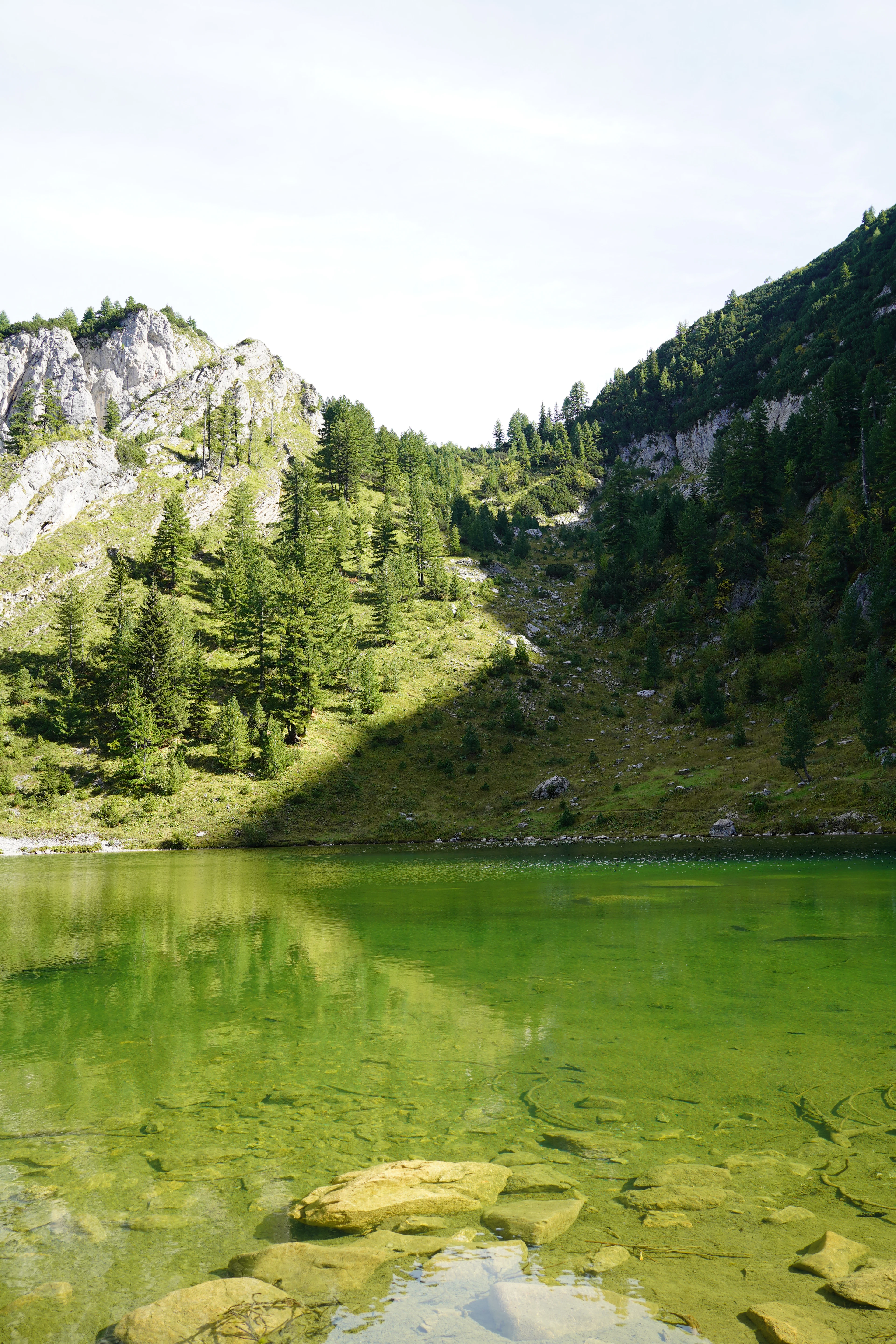A clear green mountain lake among conifers and limestone crags