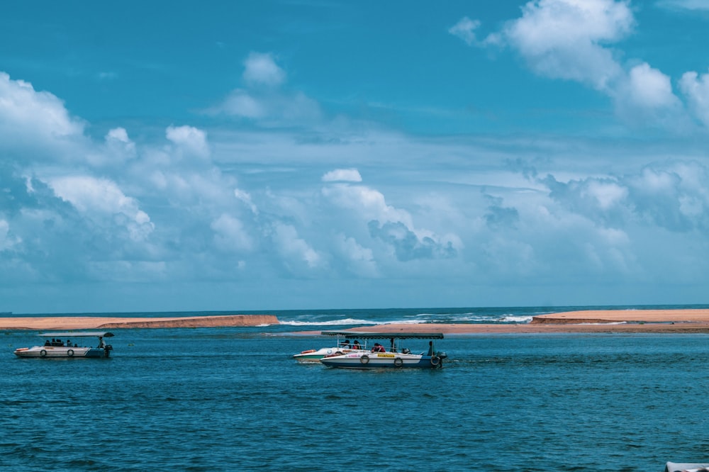 boats on the water