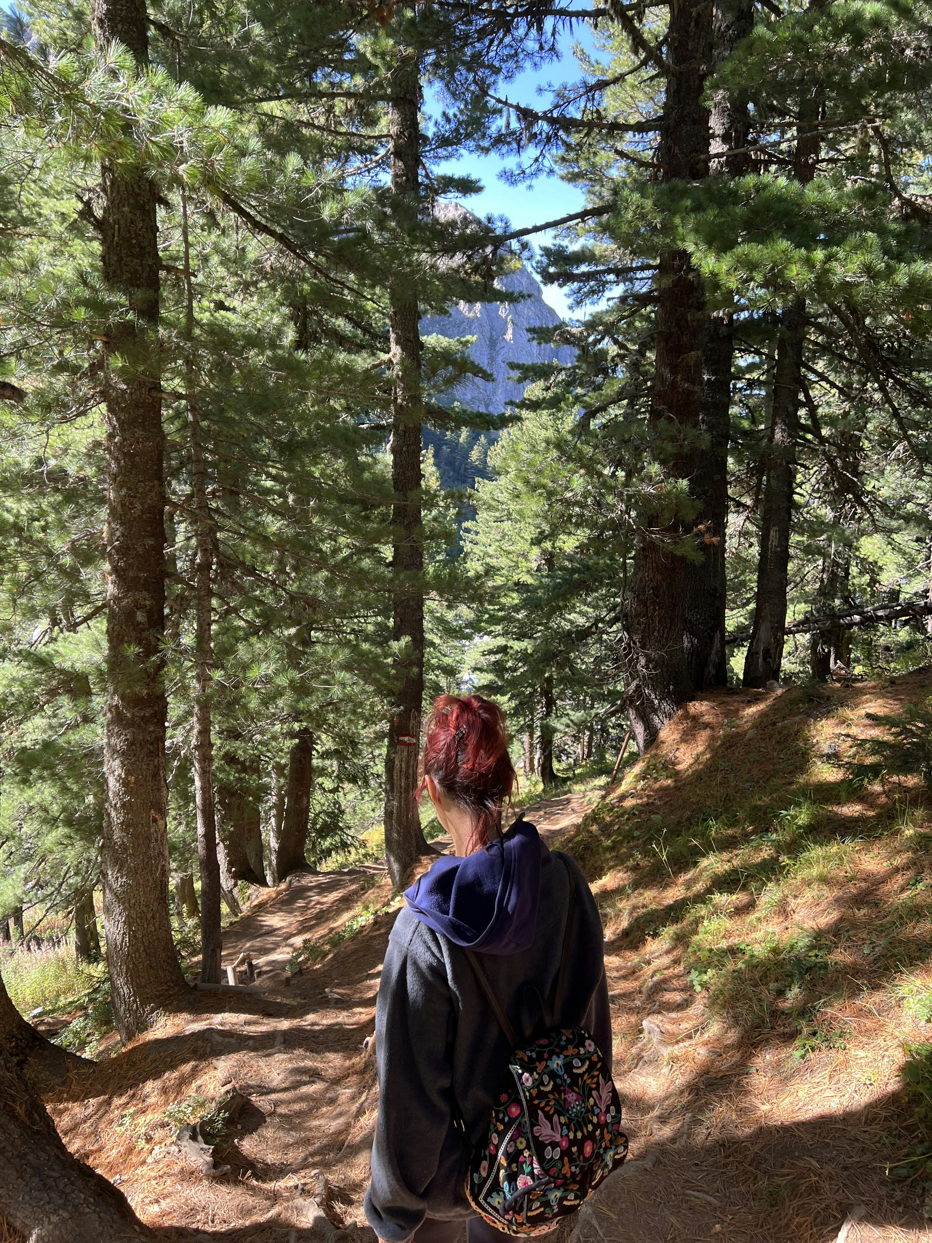 Photo by shpetimujkani