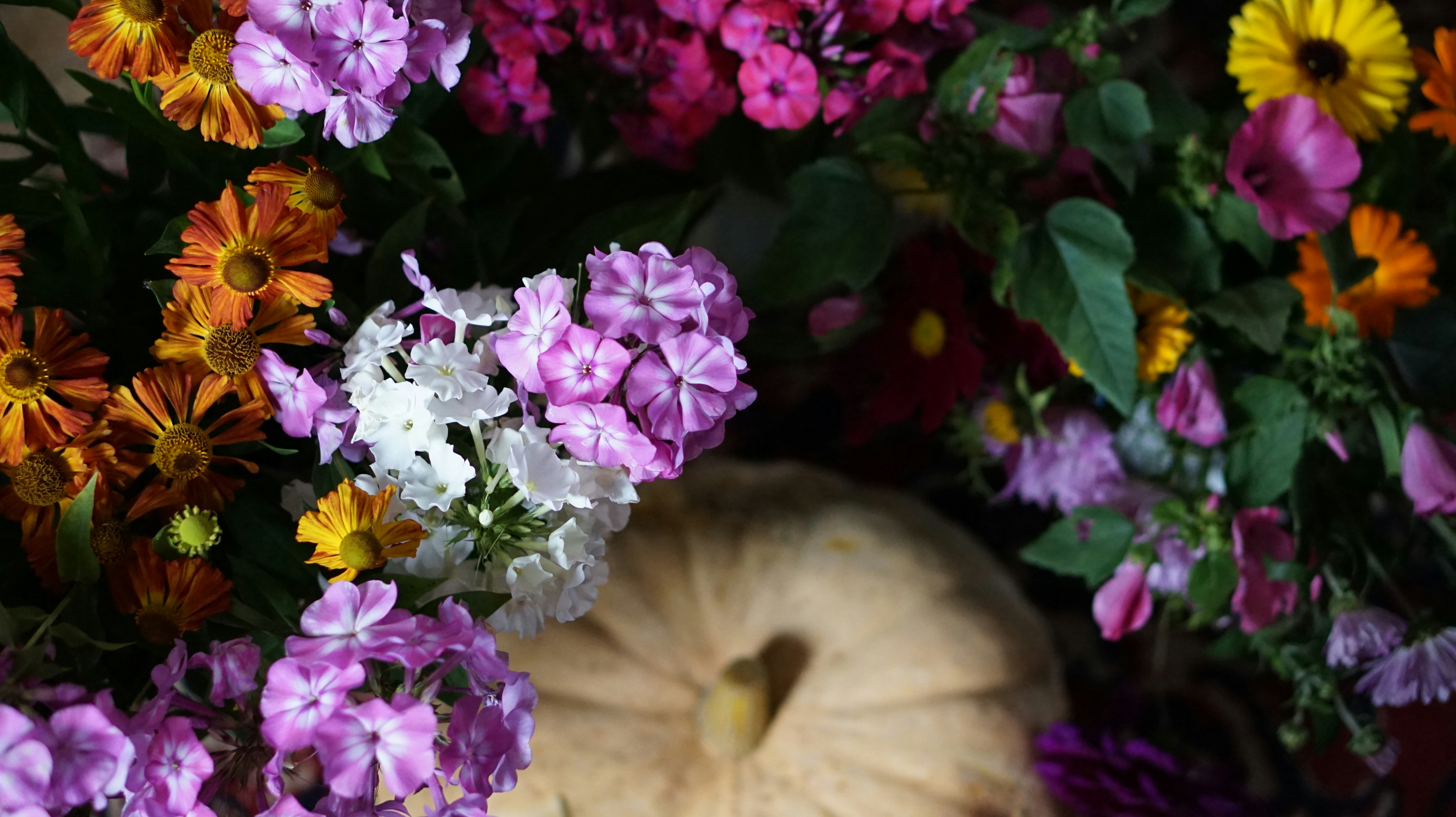 Healthy crops after using our products