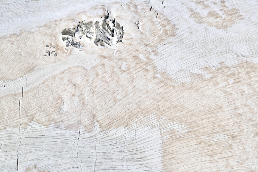 a close-up of a sand dune