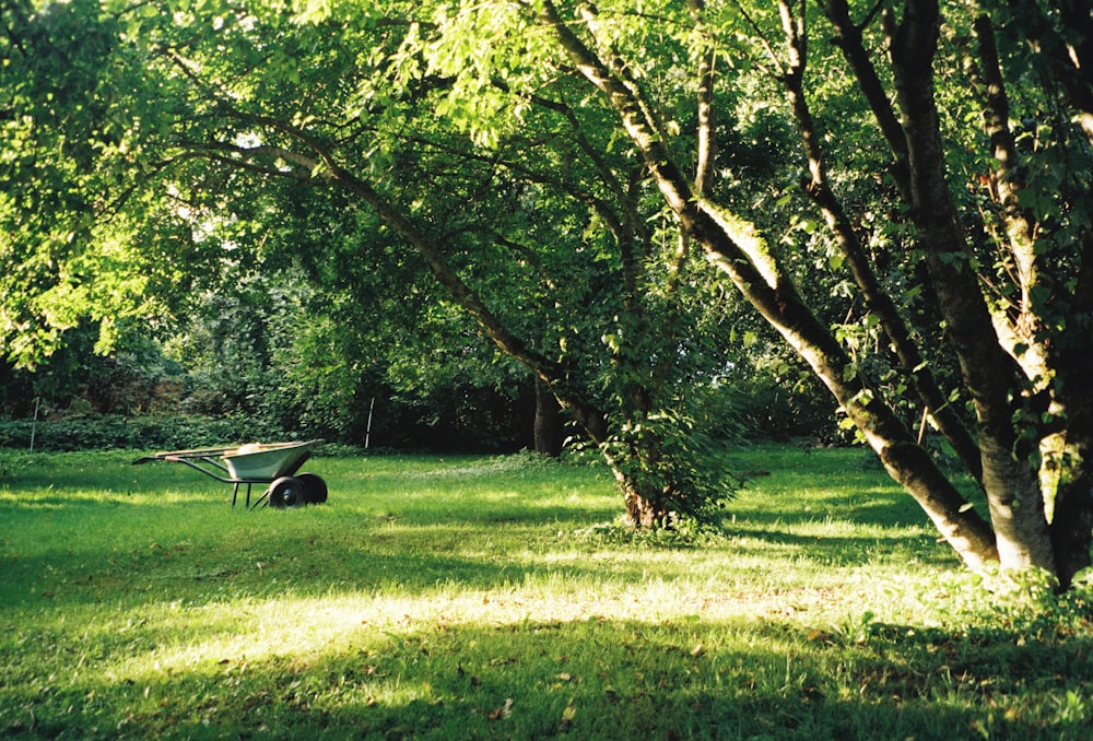 a bench in a park