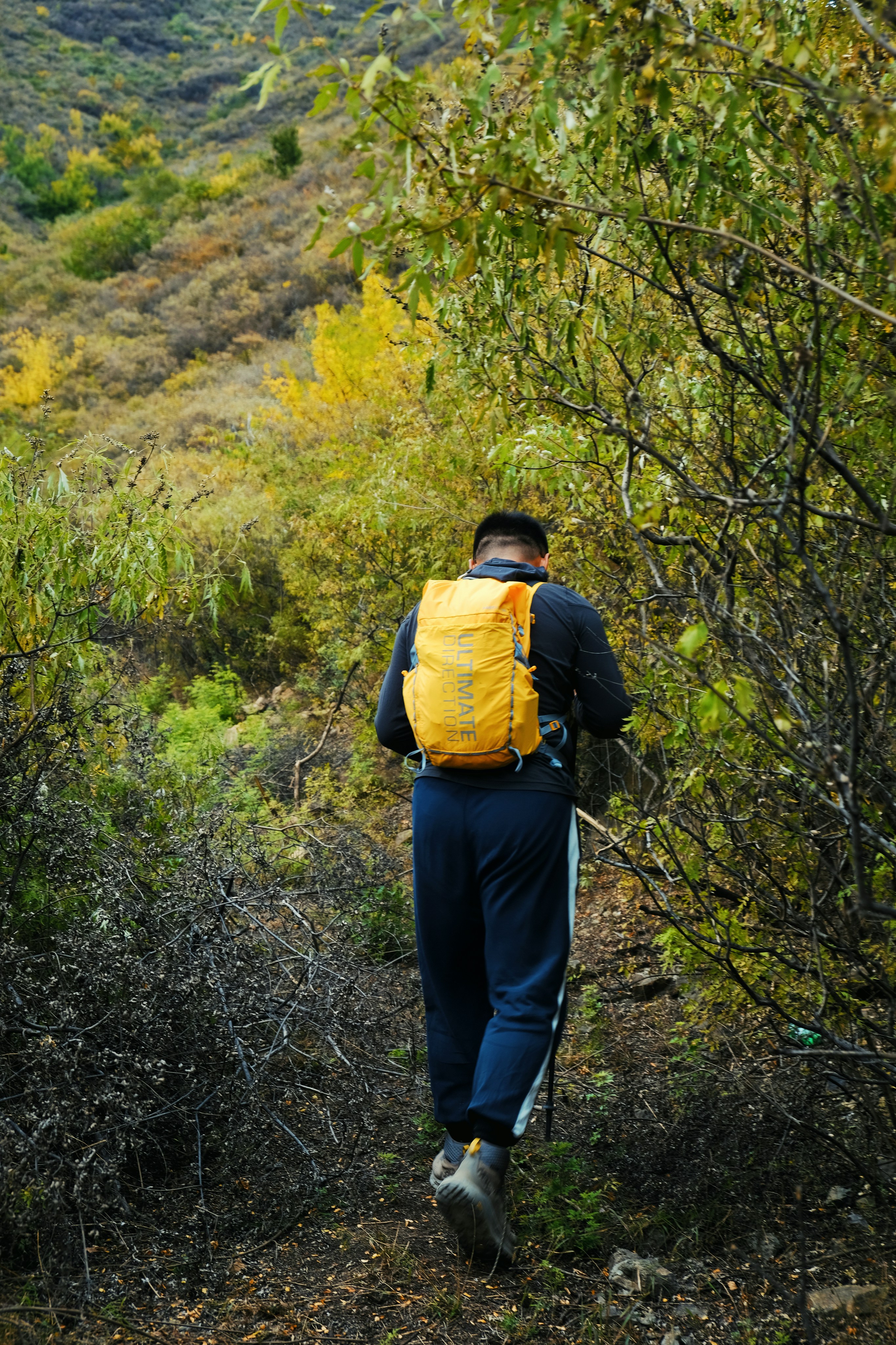 a man wearing a backpack walking on a trail in the woods
