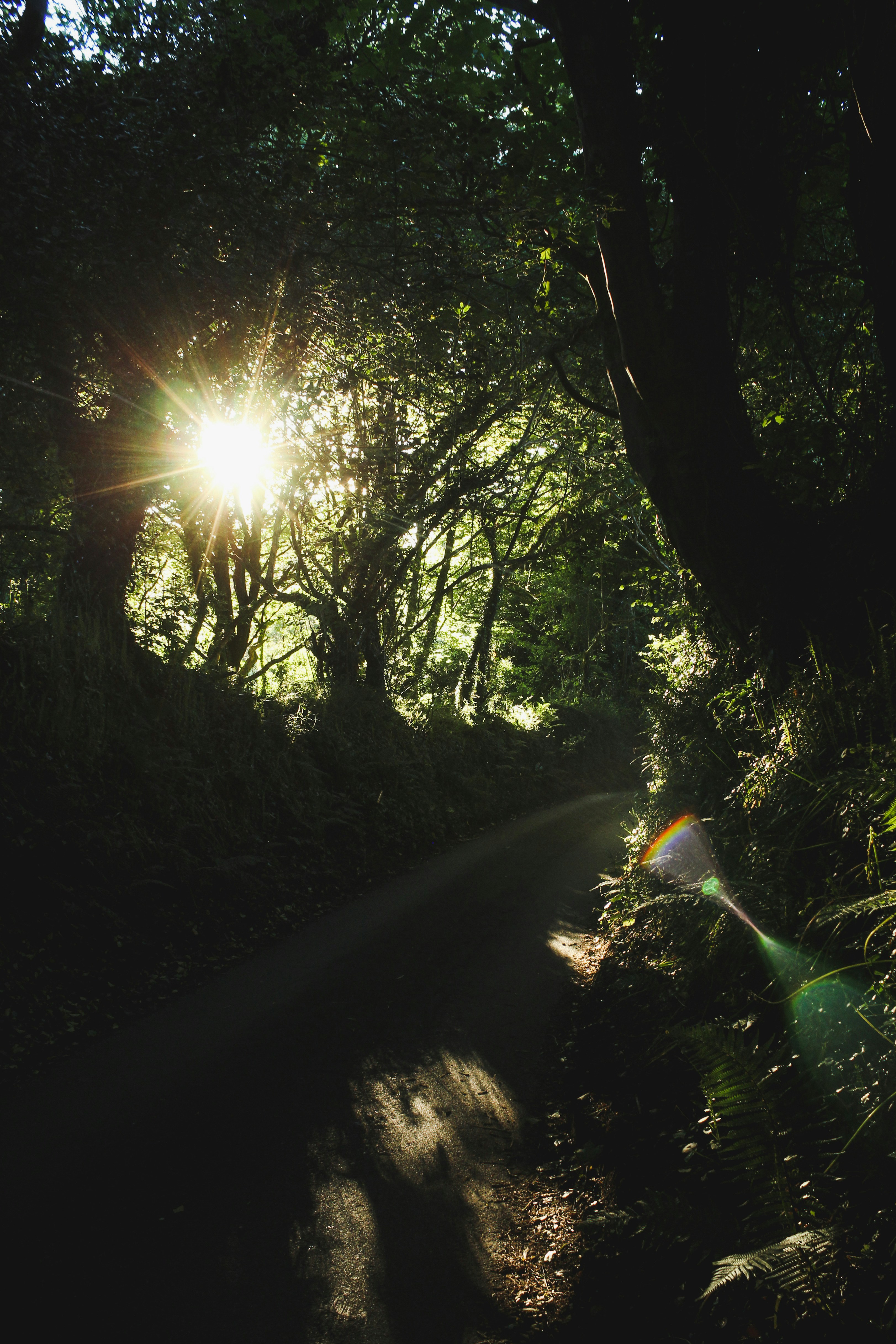 Photo by focalinsight