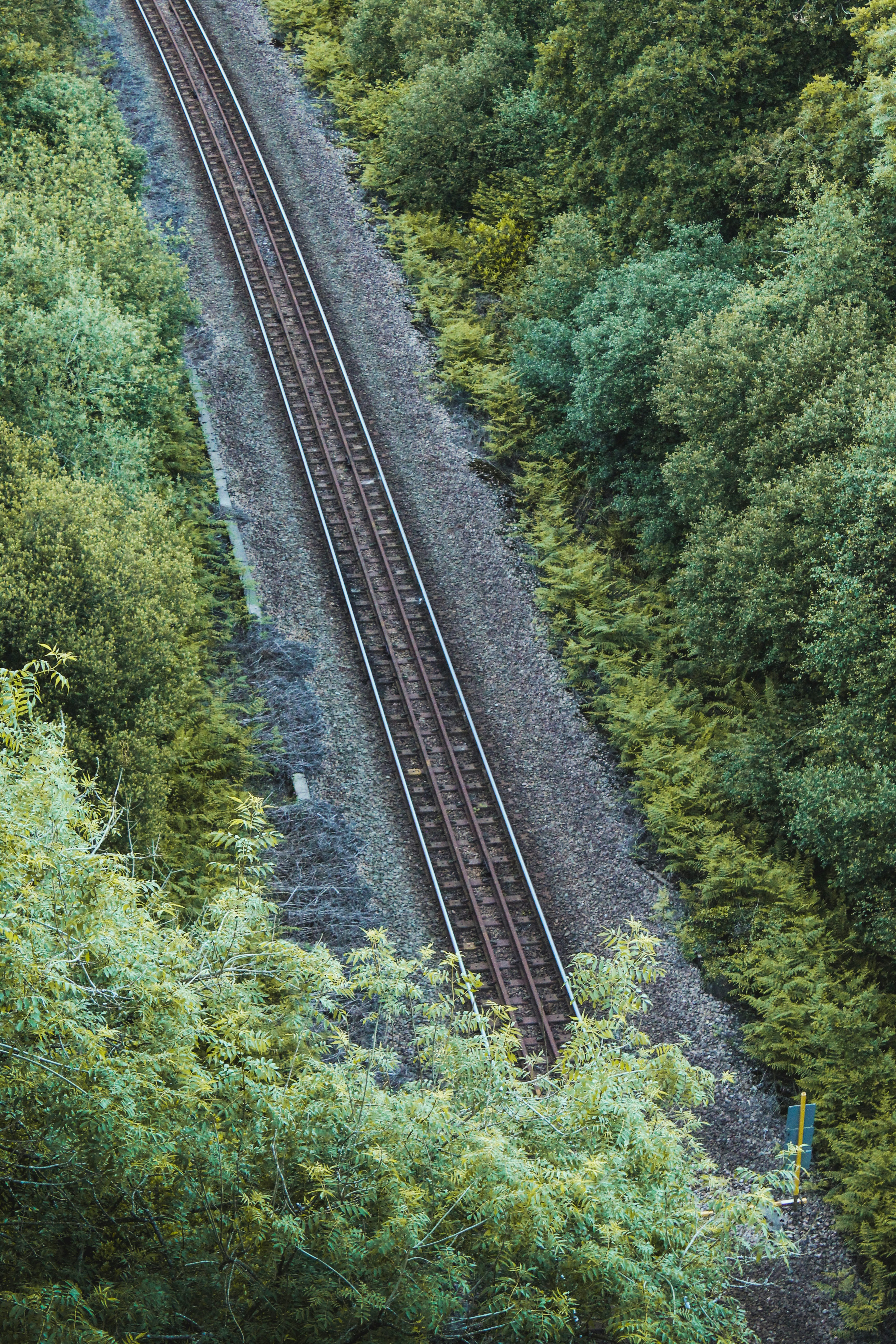 Photo by focalinsight