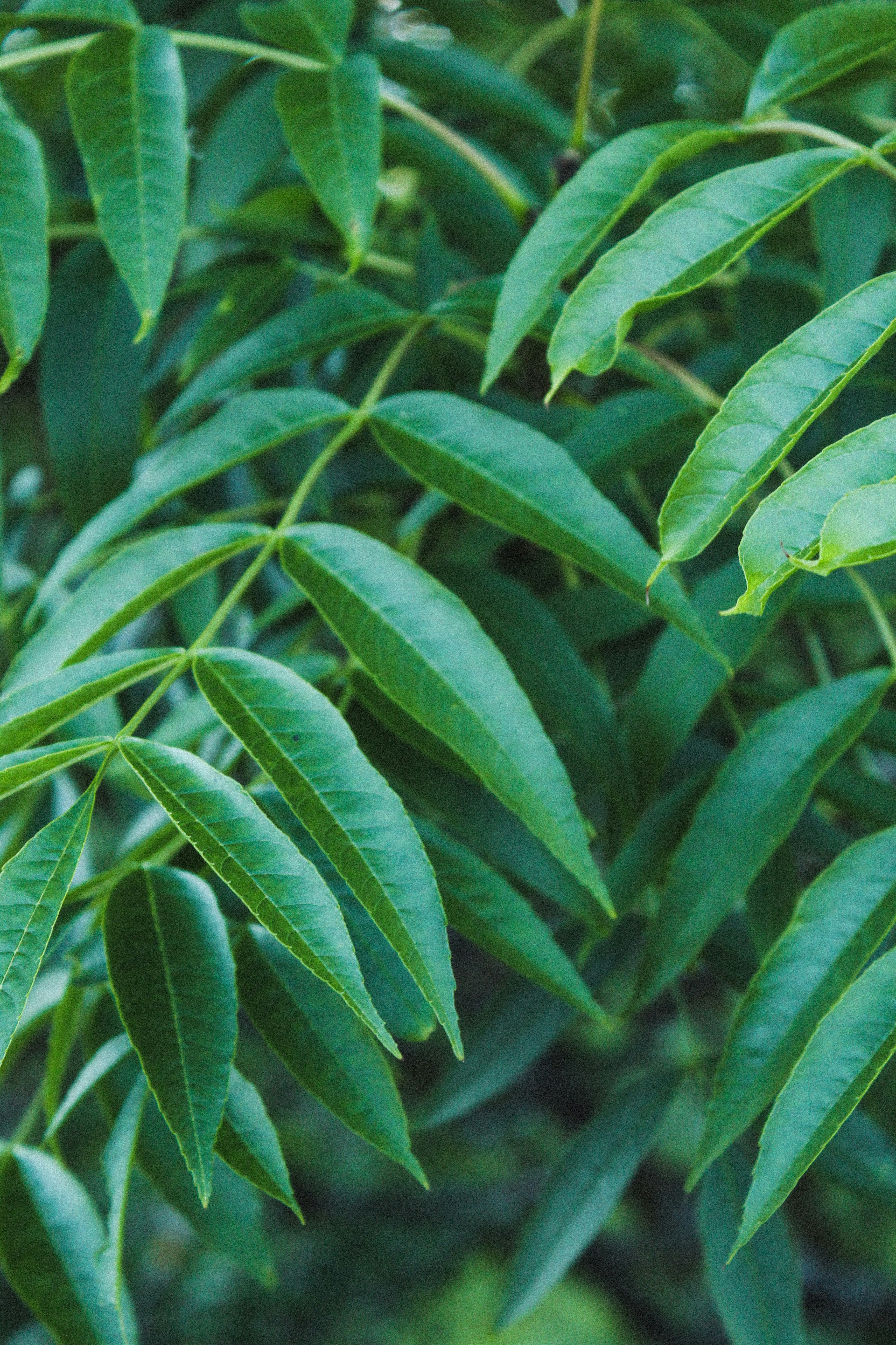 Photo by focalinsight