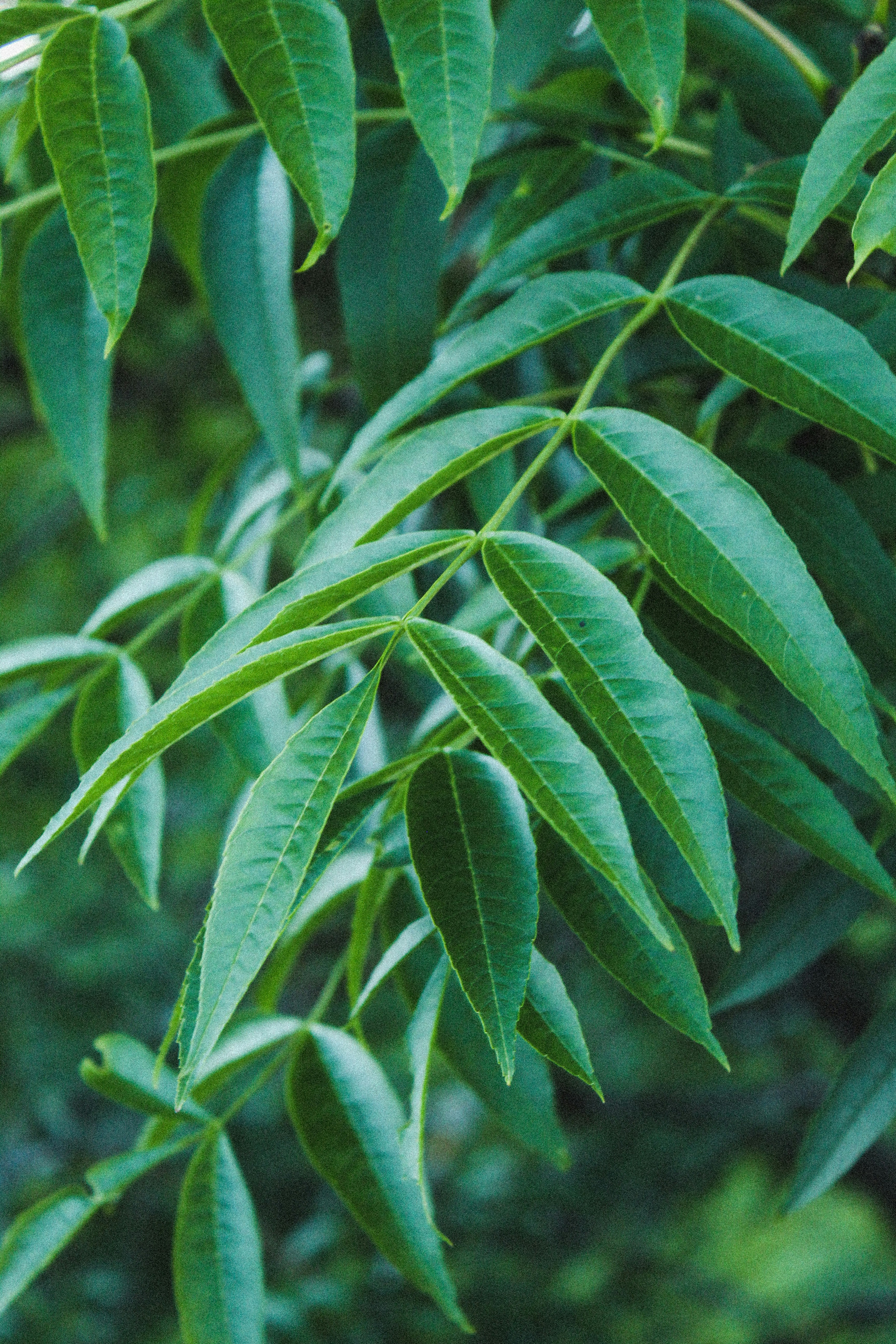 Photo by focalinsight