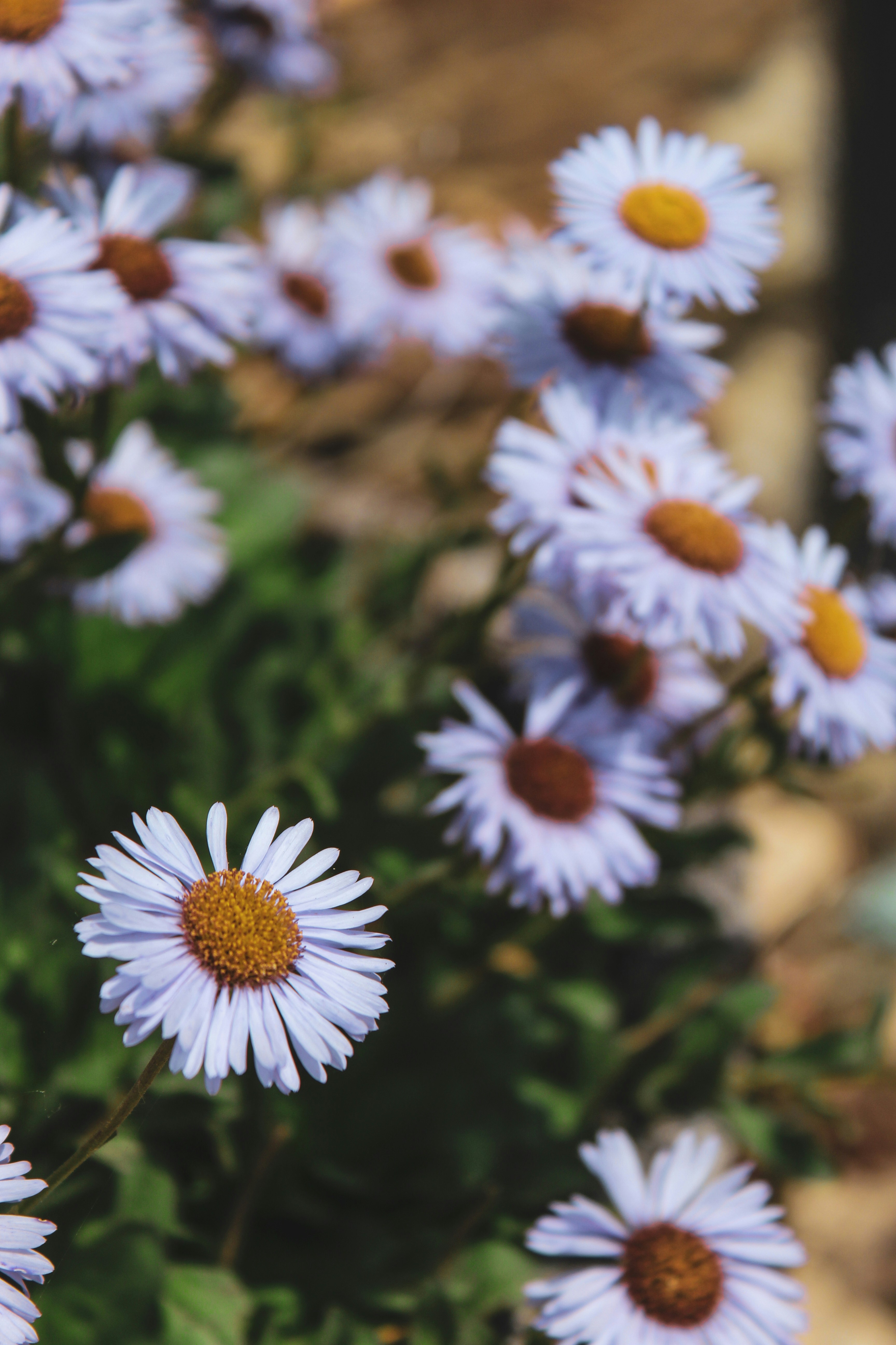 Photo by focalinsight