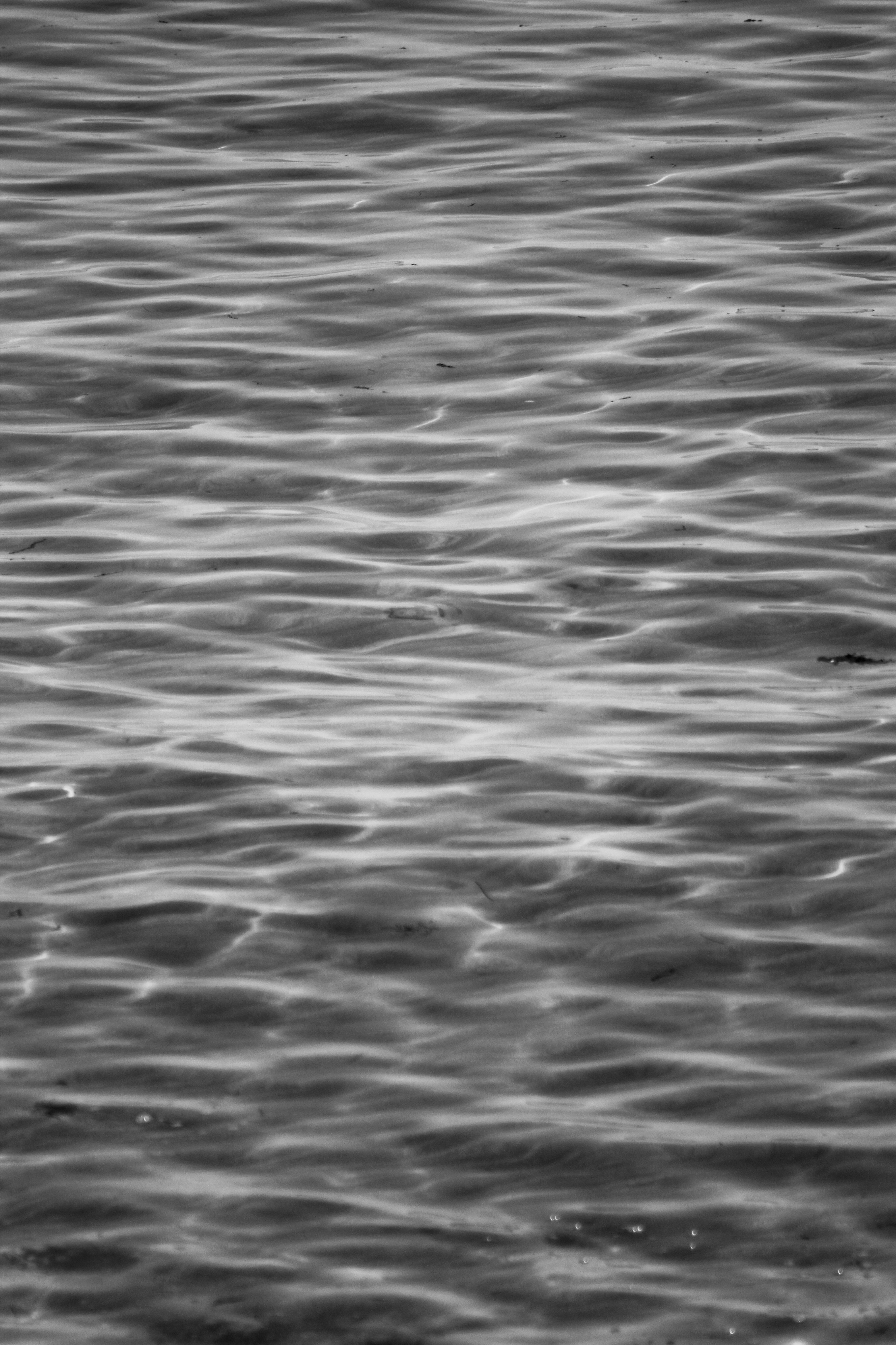 Photo by focalinsight