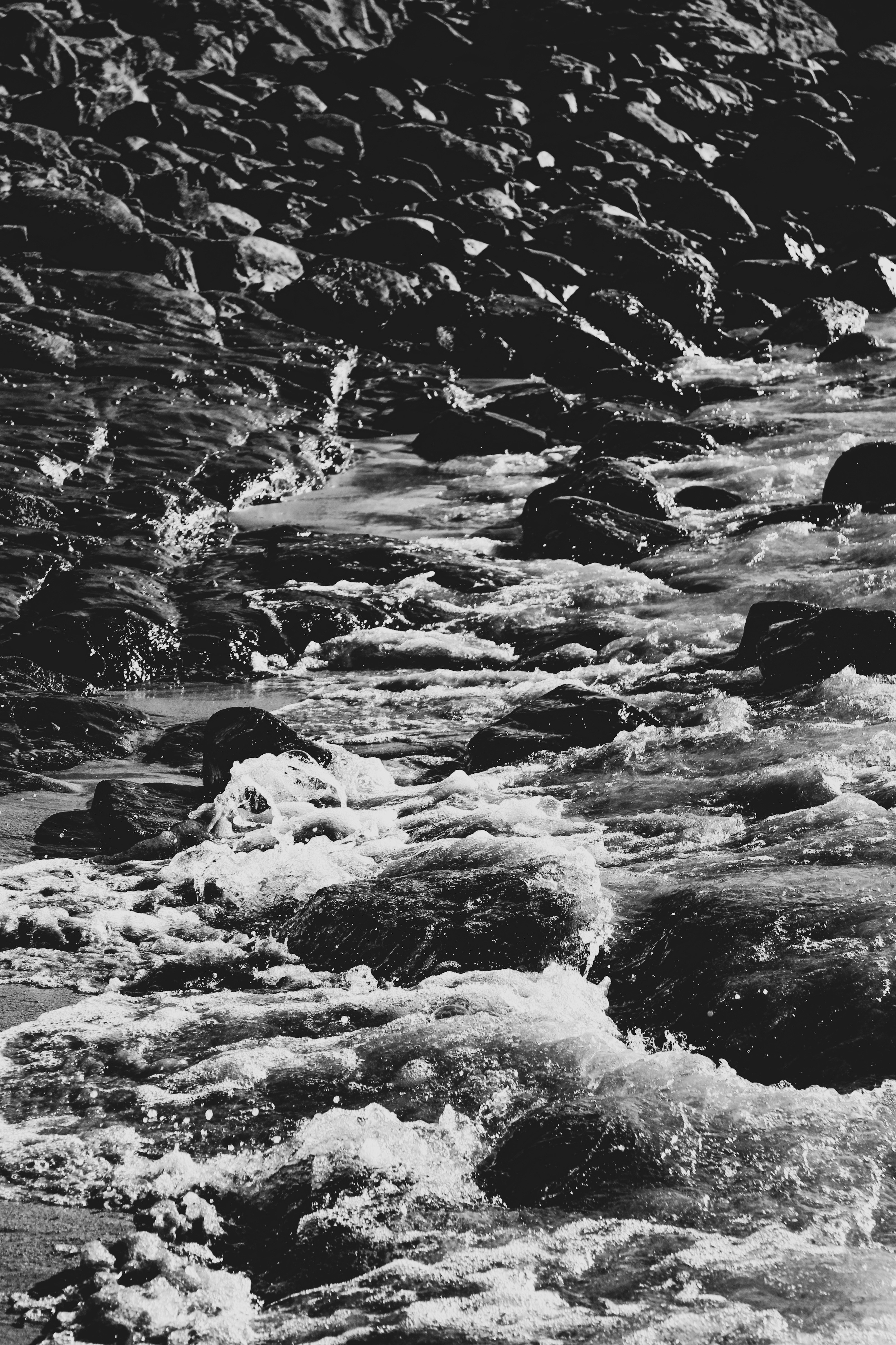 Photo by focalinsight