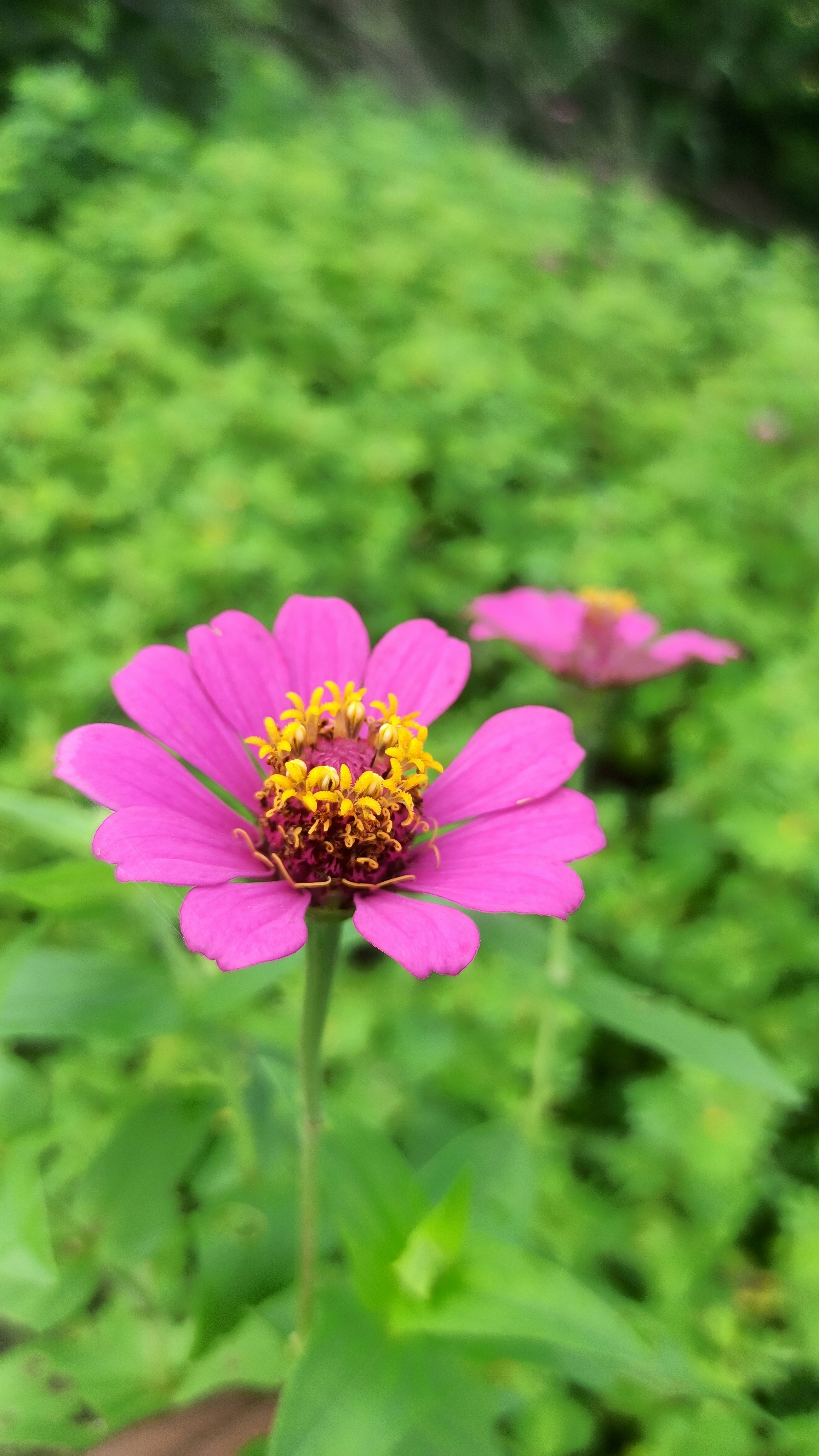 Photo by tejasjadhao1212