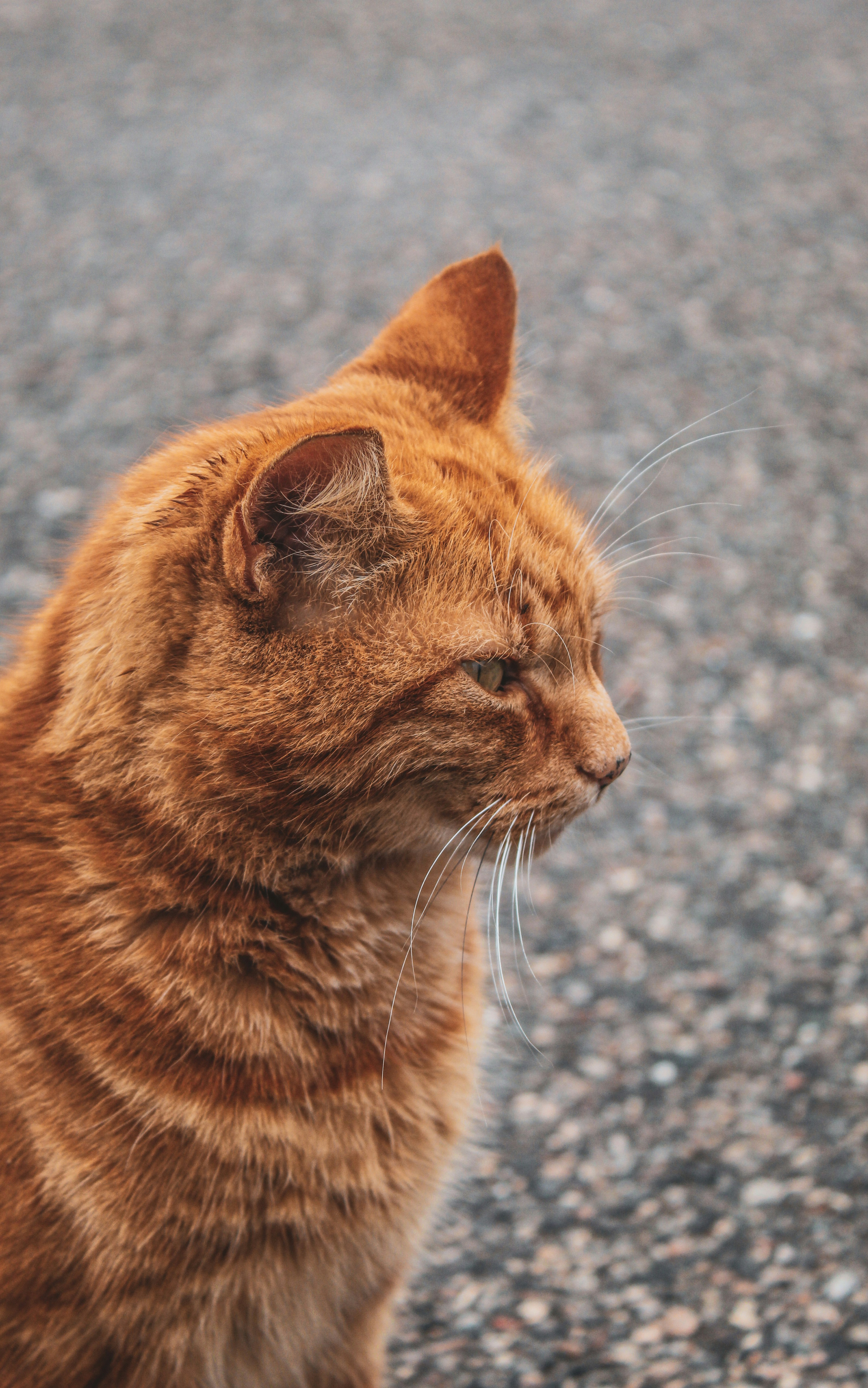 Photo by focalinsight